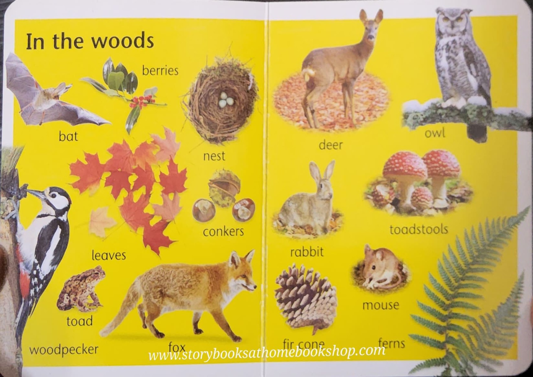 Board Book** 🍅🍓NATURE