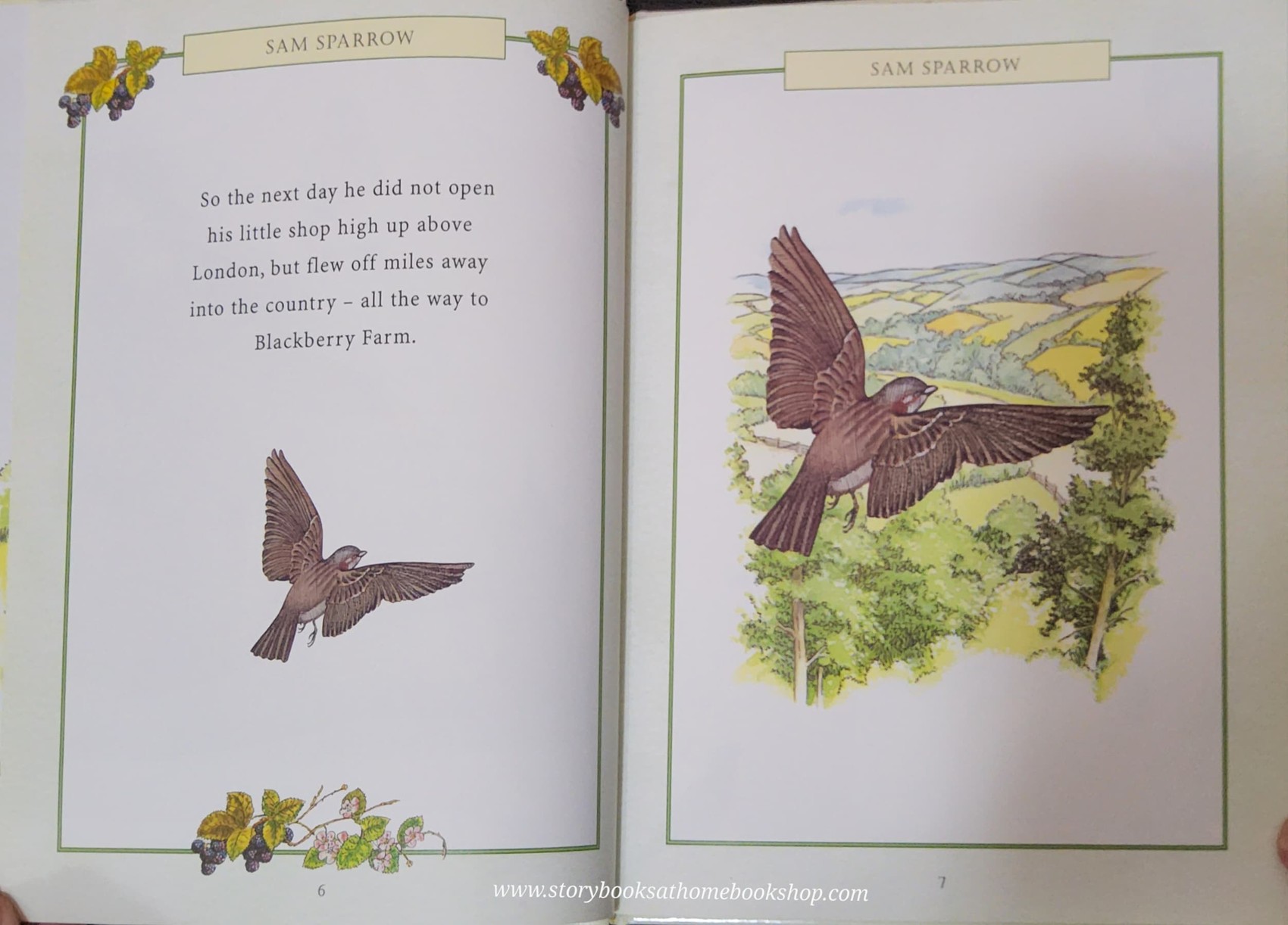 หนังสือนิทานปกแข็ง** 🍓🍓BLACKBERRY FARM SAM SPARROW BY JANE PILGRIM