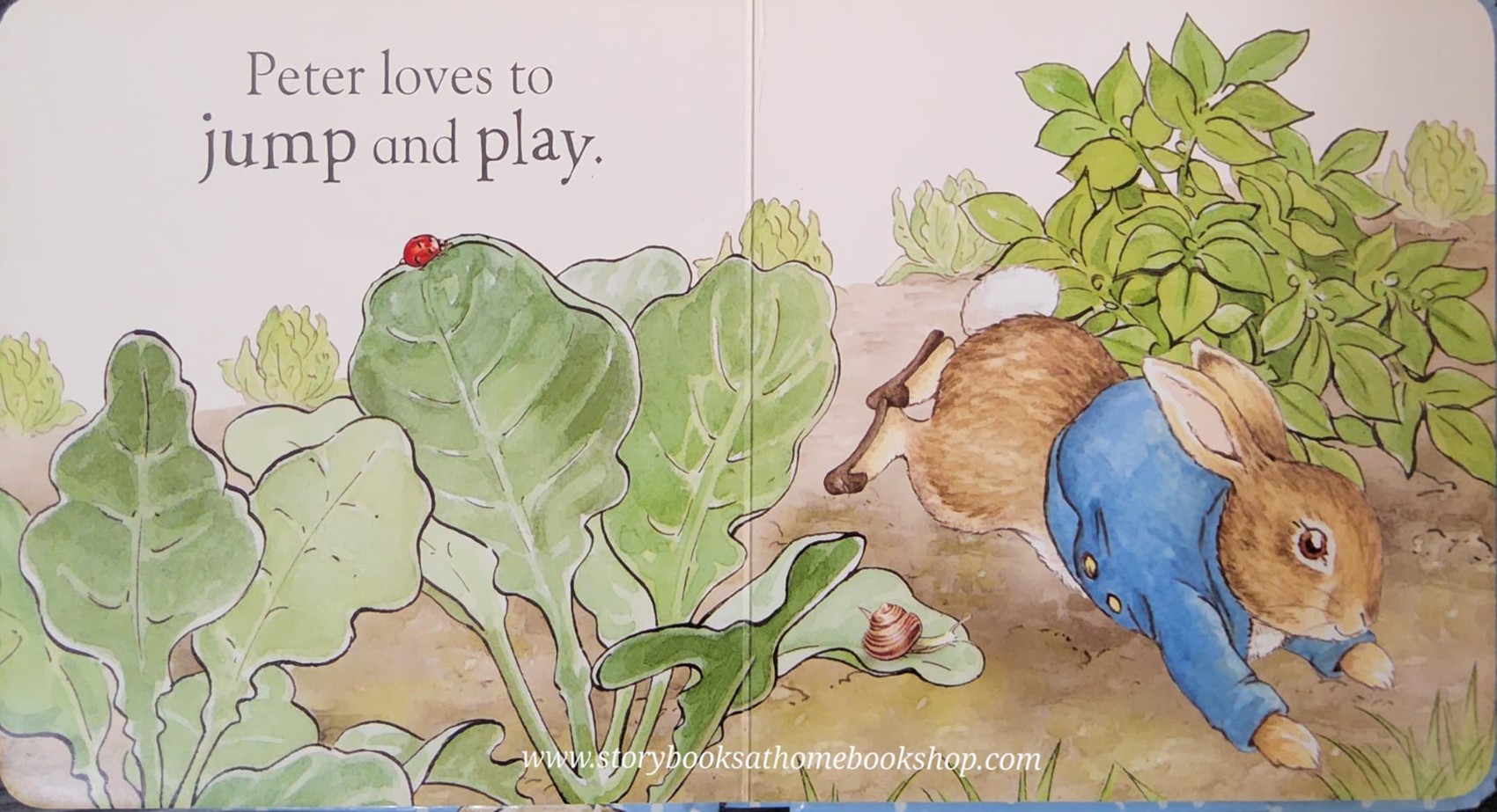 BOARD BOOK** 🍅🍓A PETER RABBIT TALE:HELLO PETER