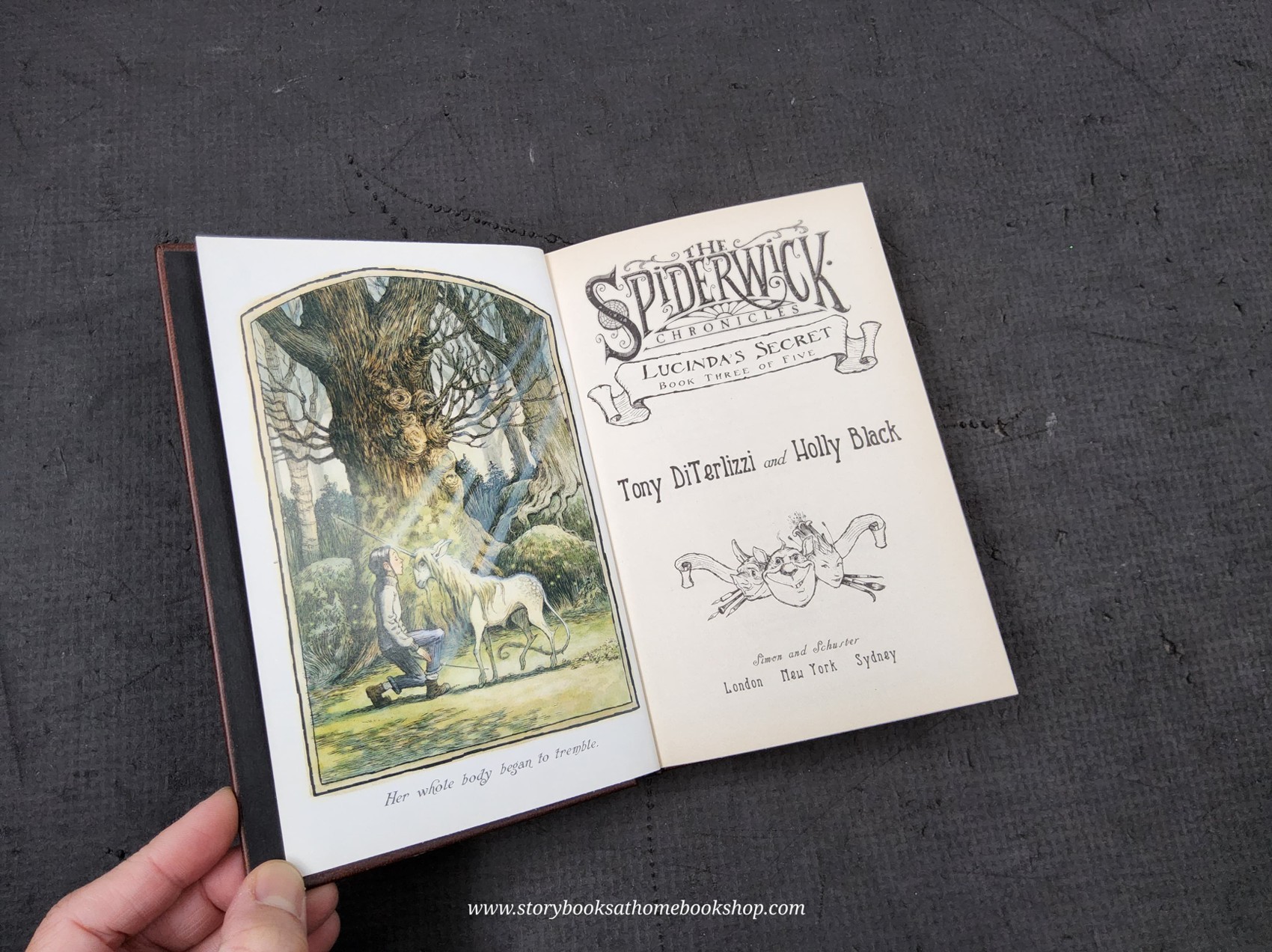 วรรณกรรมเยาวชน** 🍅🍓THE SPIDERWICK CHRONICLES BOOK3 LUCINDA'S SECRET