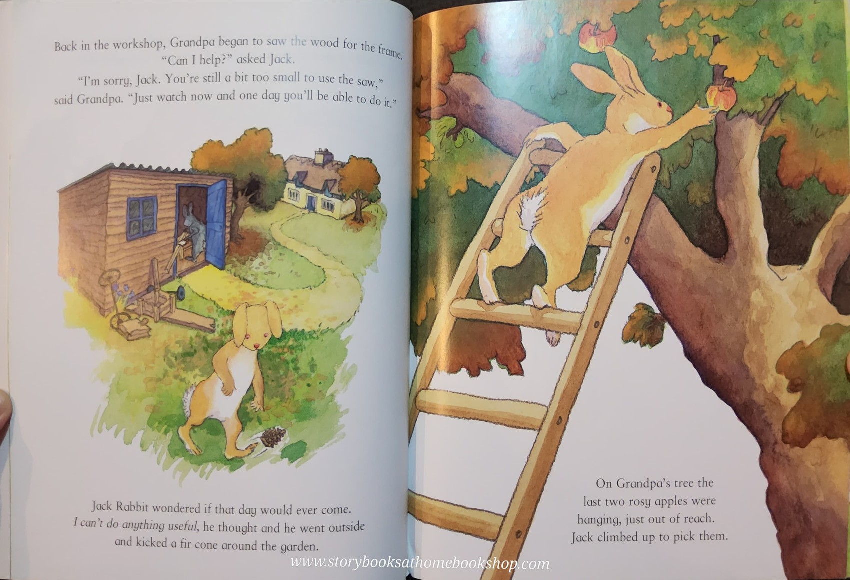 หนังสือนิทานปกอ่อน** ♥️LITTLE JACK RABBIT♥️