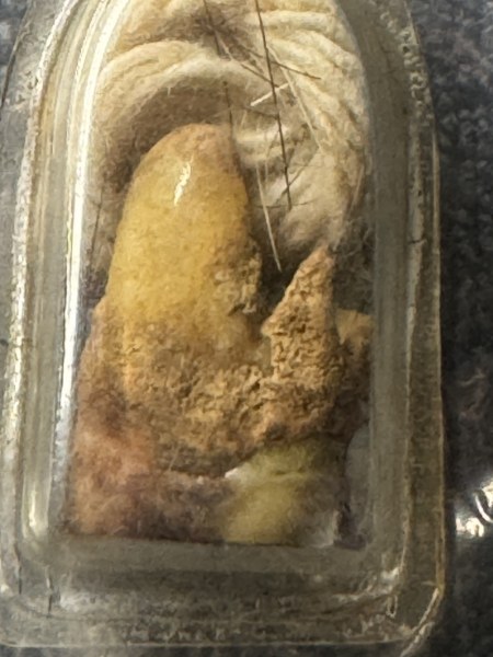 พระทันตธาตุครูบาอินทร์ วัดบ้านใหม่ จ.ลำปาง ร.ต.อ.พิทักษ์ได้มาจากอดีตผู้ใหญ่บ้านแม่สุข อ.วังเหนือ จ.ลำปาง ชื่อผู้ใหญ่เขียว อายุ 76 ปี เคยเป็นผู้ใหญ่บ้านราว ปี 2535-2542 ผู้ใหญ่เขียวเป็นศิษย์ครูบาอินทร์ ระหว่างปี 30-38 โดยได้รับพระทันตธาตุนี้ในปี 2536