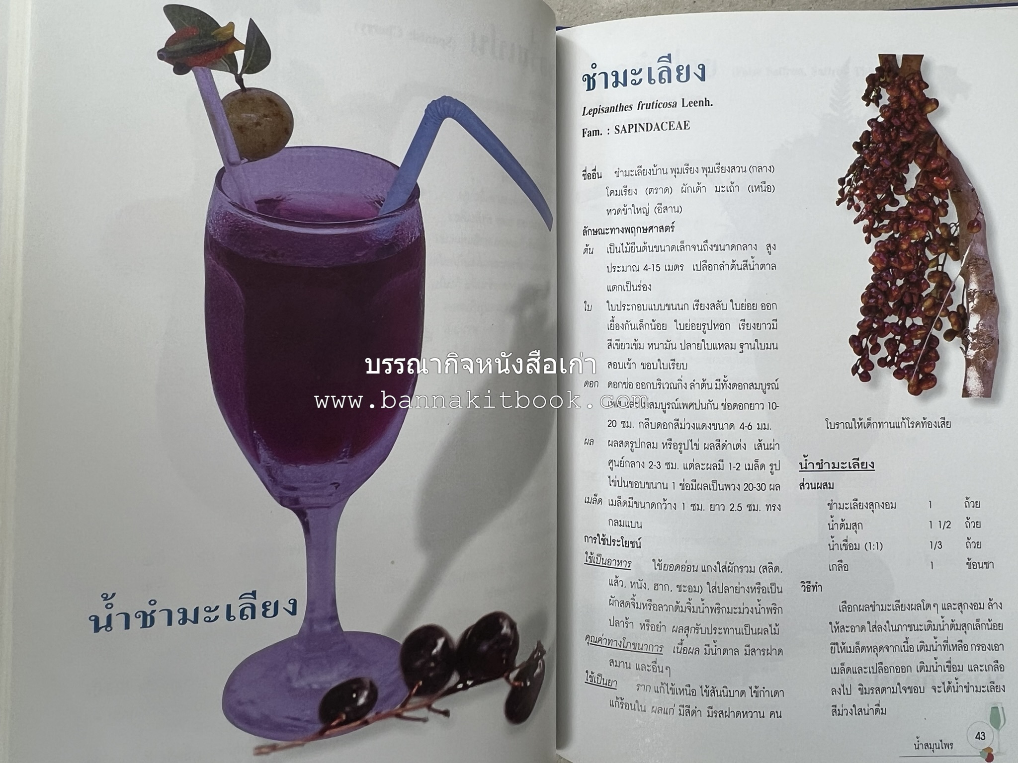 น้ำสมุนไพร 108 สูตร-วิธีทำจากผักพื้นบ้านและผลไม้ไทย โดย สถาบันการแพทย์แผนไทย.