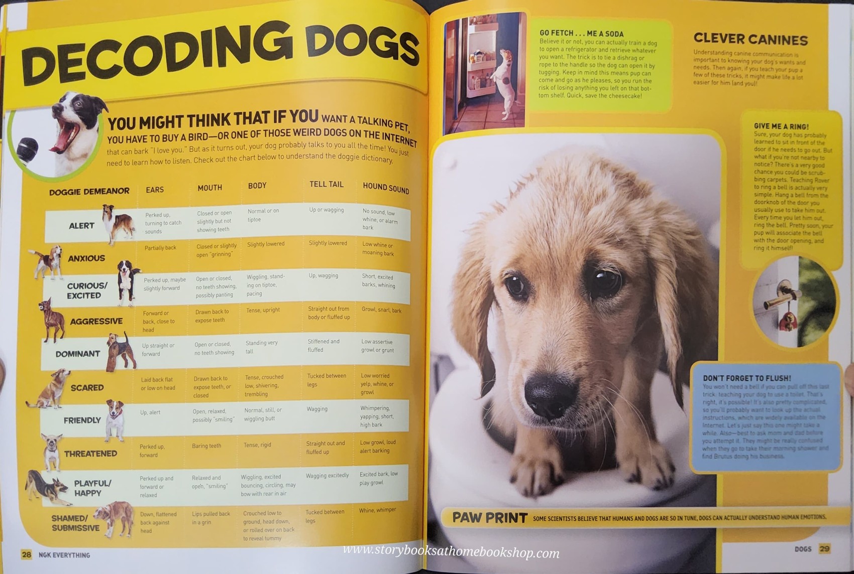 KNOWLEDGE BOOK** ♥️NATIONAL GEOGRAPHIC KIDS:EVERYTHING DOGS
