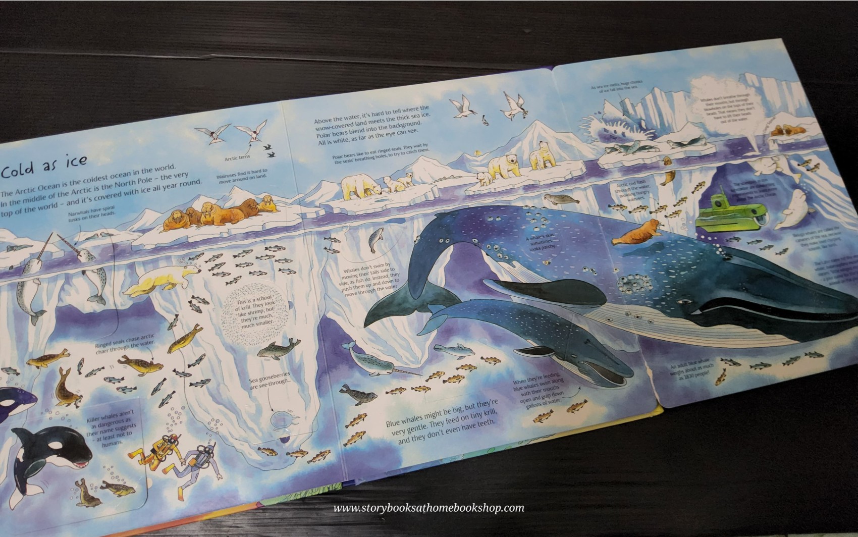 RECOMMENED SCIENCE BOOK** **Knowledge Book** ð
ð
An Usborne Flap book See UNDER THE SEA with over 80 flaps to lift