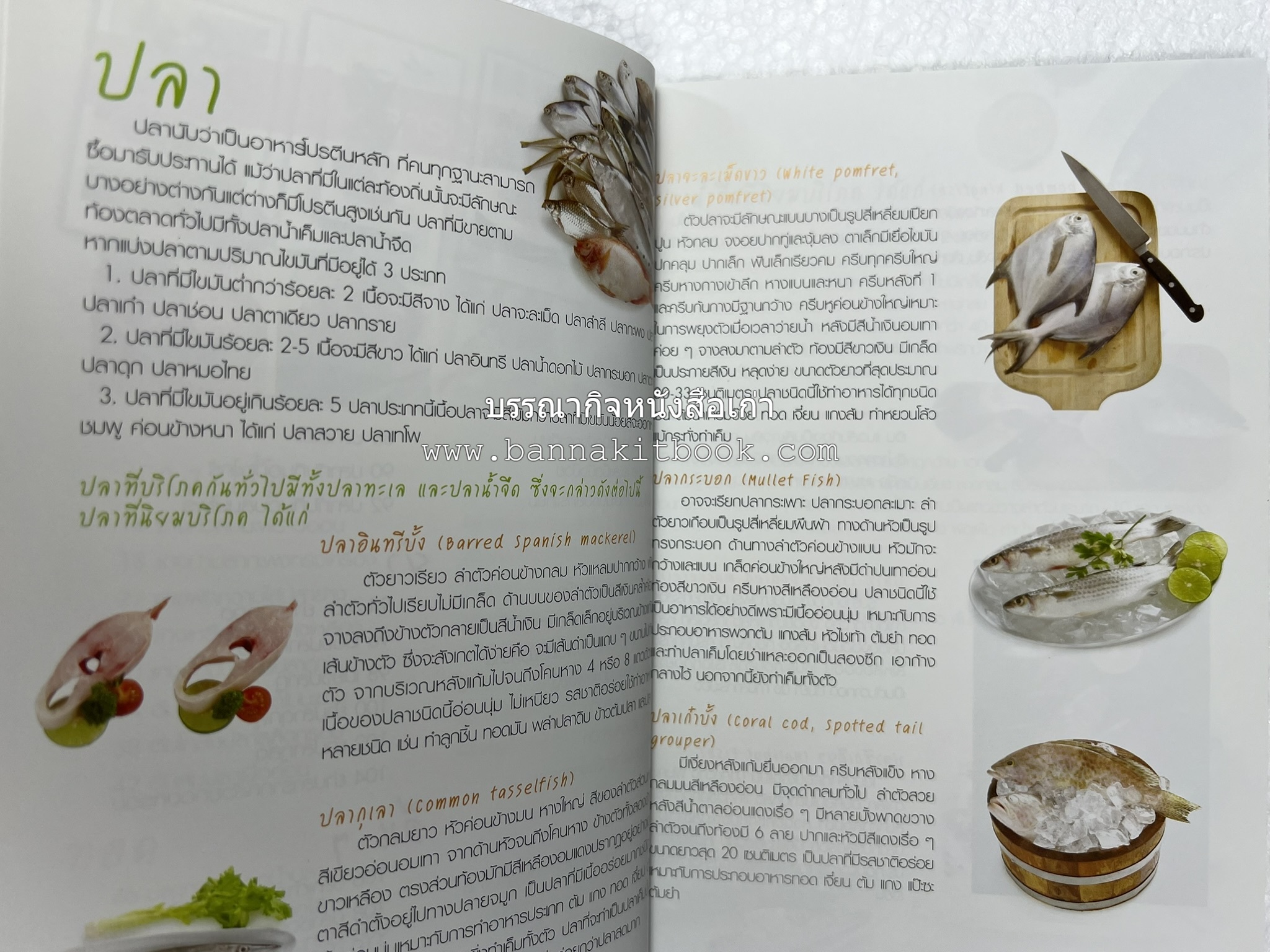 อร่อยเด็ด เมนูปลา โดย : สำนักพิมพ์แม่บ้าน.