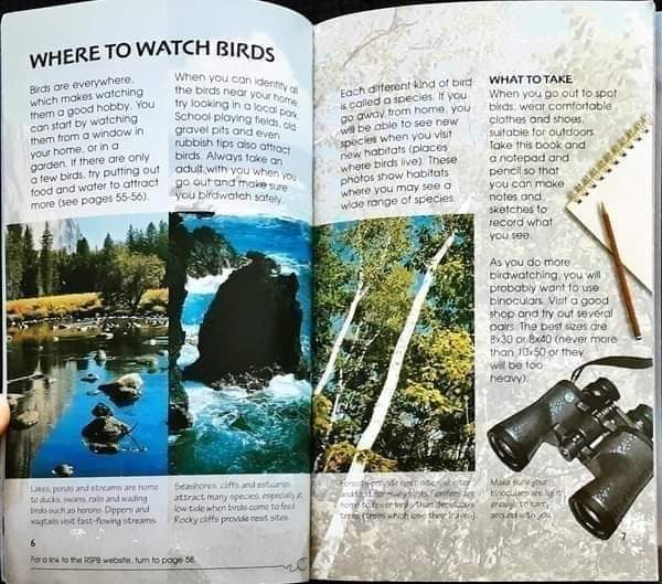 Knowledge Book ð
ð
Usborne Spotter's Guide BIRDS