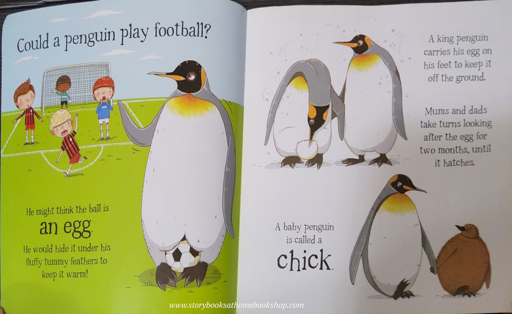 หนังสือนิทานปกอ่อน** 🍅🍅COULD A PENGUUIN RIDE A BIKE? AND OTHER QUESTIONS