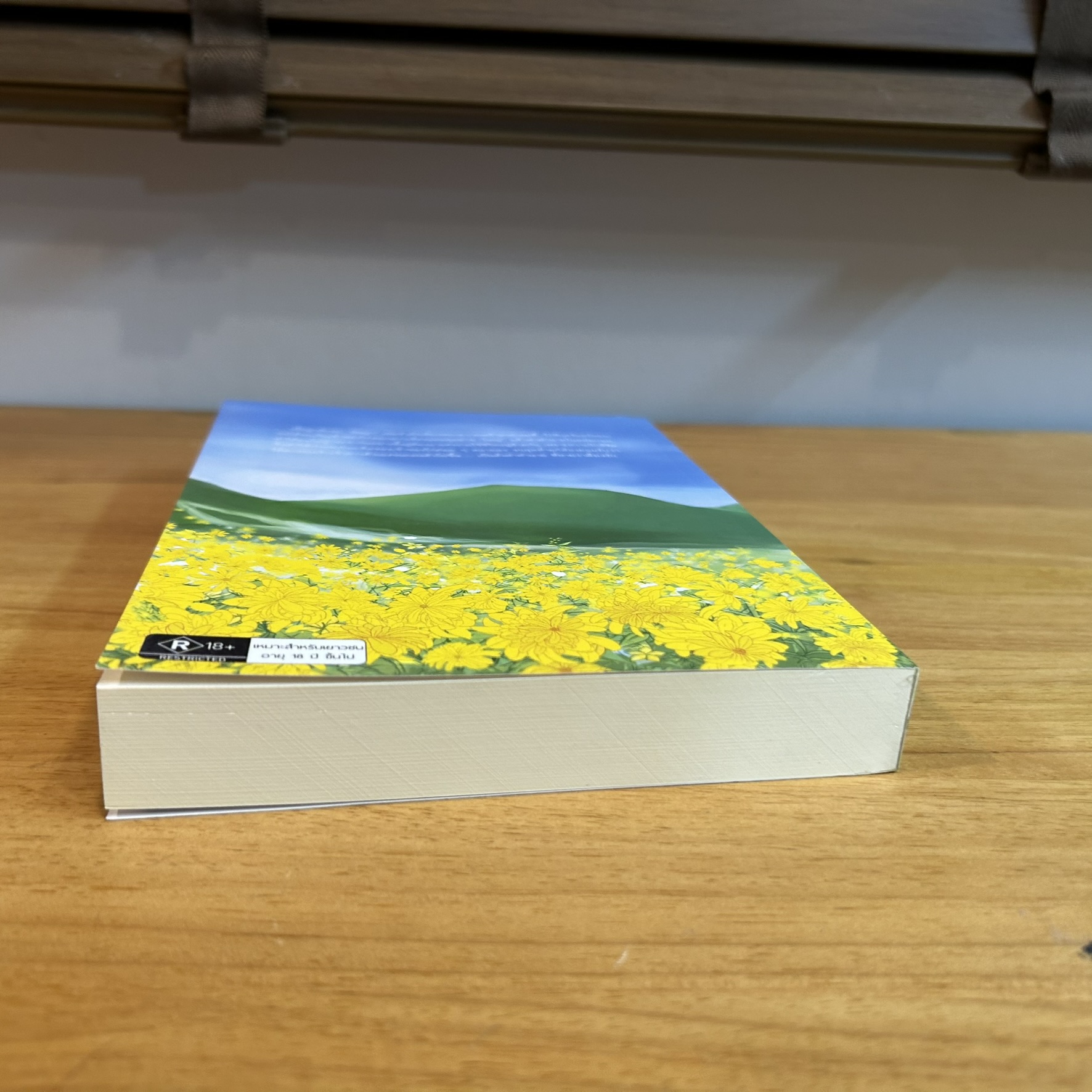 [YAOI] คำทำนาย ทายว่าต้องรัก ... AiaeaAiaea (มือสอง) นิยายวาย