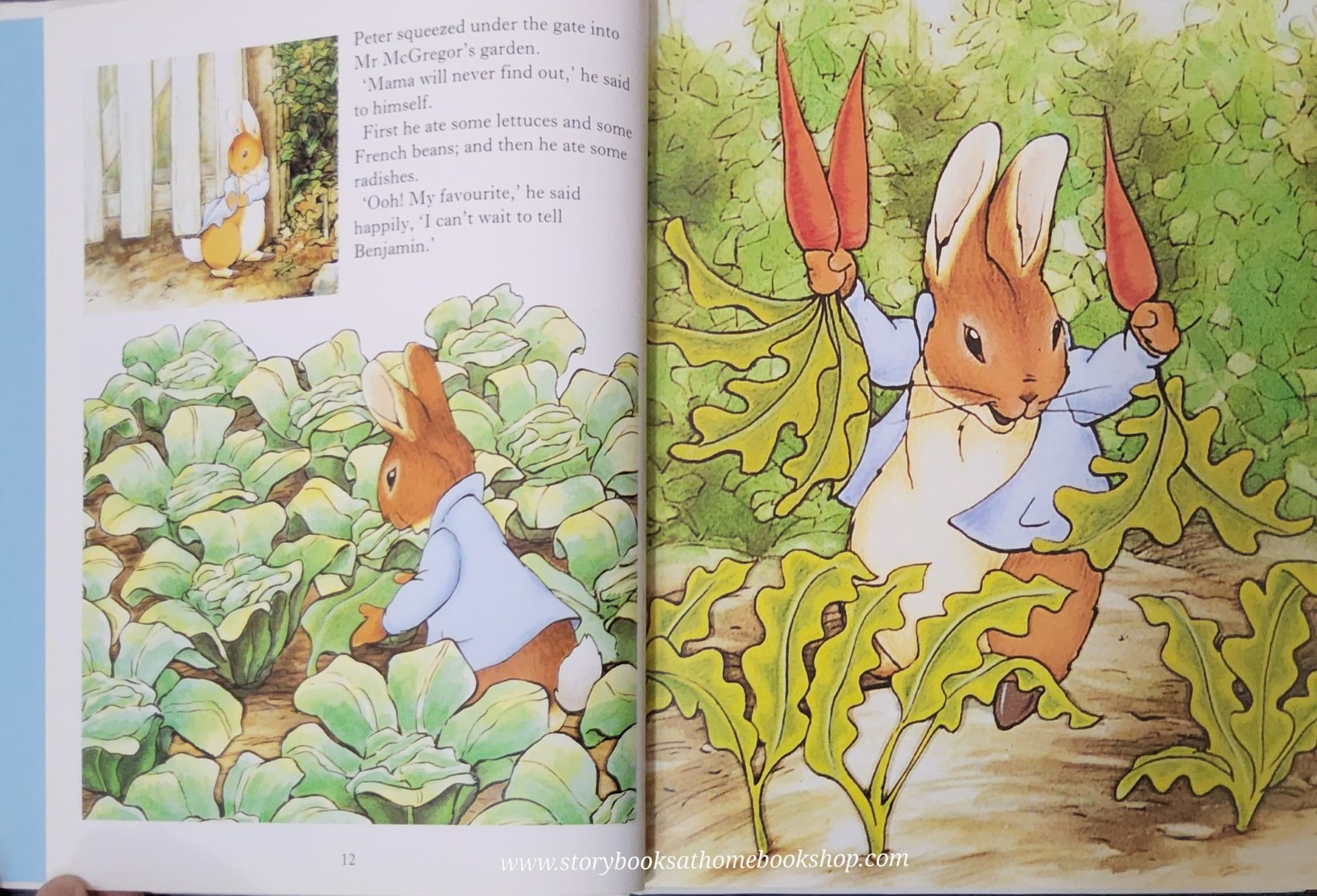 หนังสือนิทานปกแข็ง 🍅🍓THE WORLD OF PETER RABBIT & FRIENDS COMPLETE STORY COLLECTION BY BEATRIX POTTER
