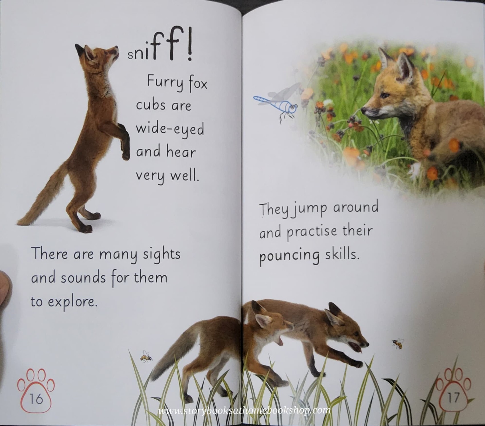 หนังสือนิทานปกอ่อน** 🍅🍓DK LEVEL2:WILD BABY ANIMALS