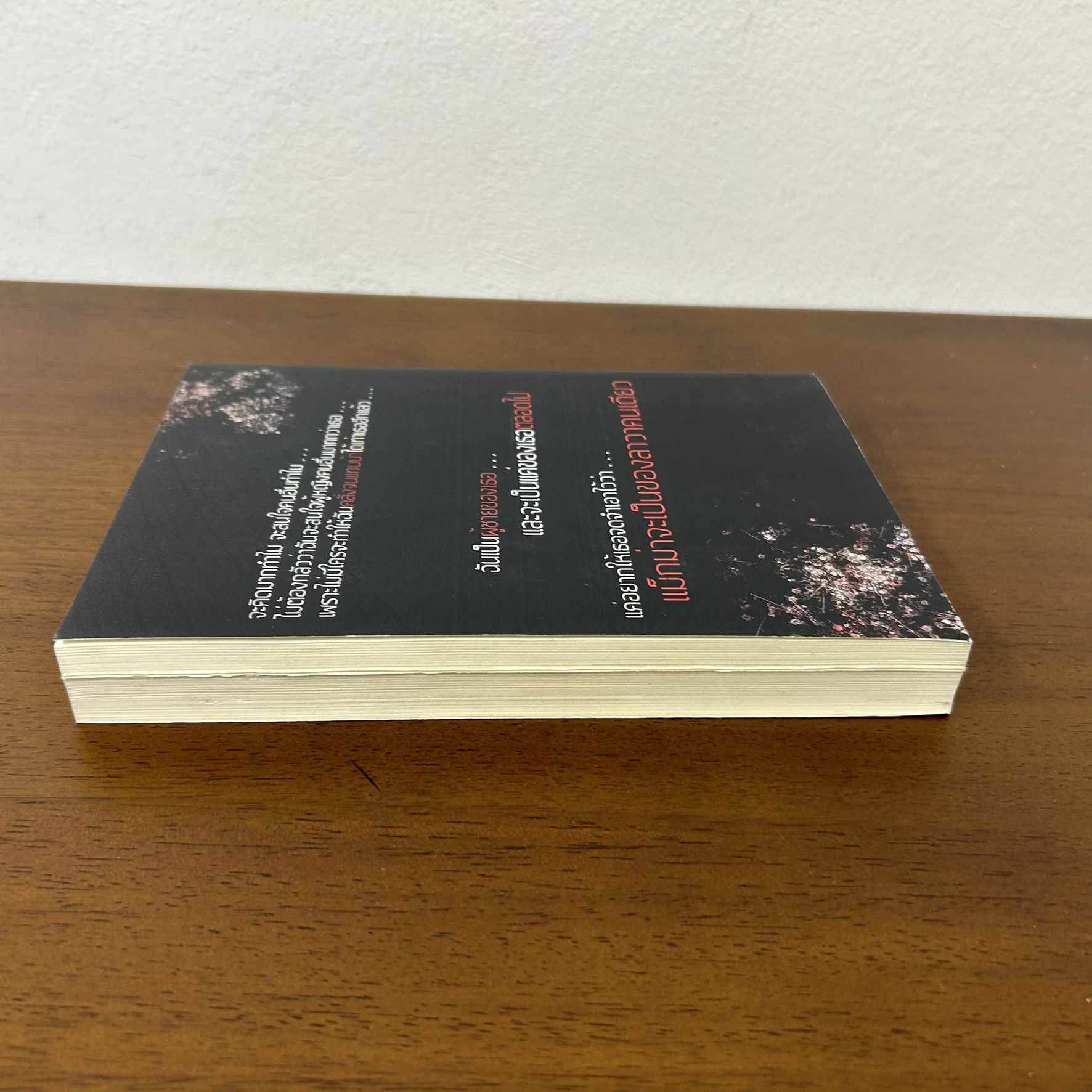 ME & BAD BOY แอบร้อน ซ่อนรัก ... The-Daziie (มือสอง) นิยาย โรมานซ์