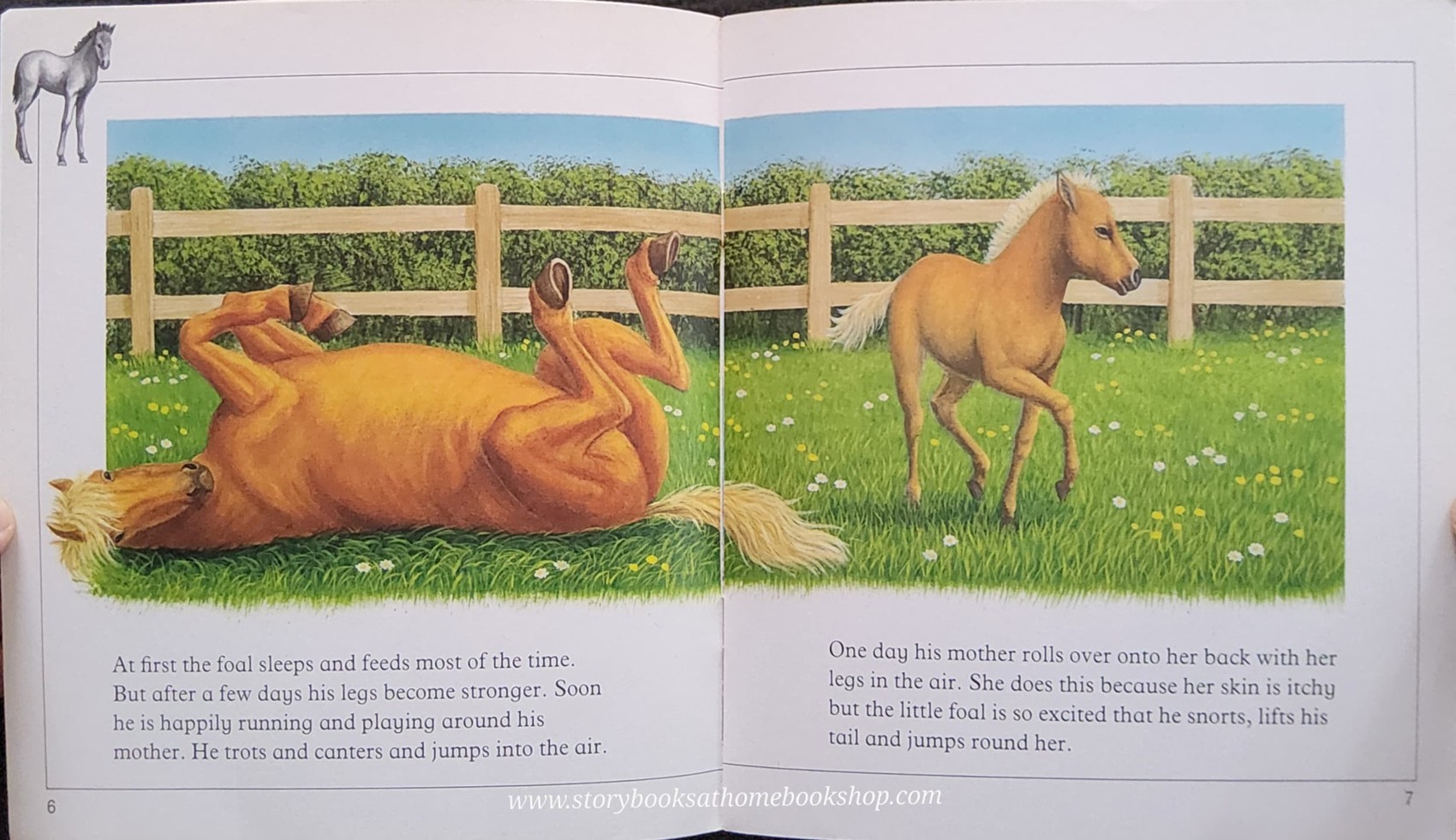 หนังสือนิทานปกอ่อน** 🍅🍓FARM ANIMAL STORIES THE PONY