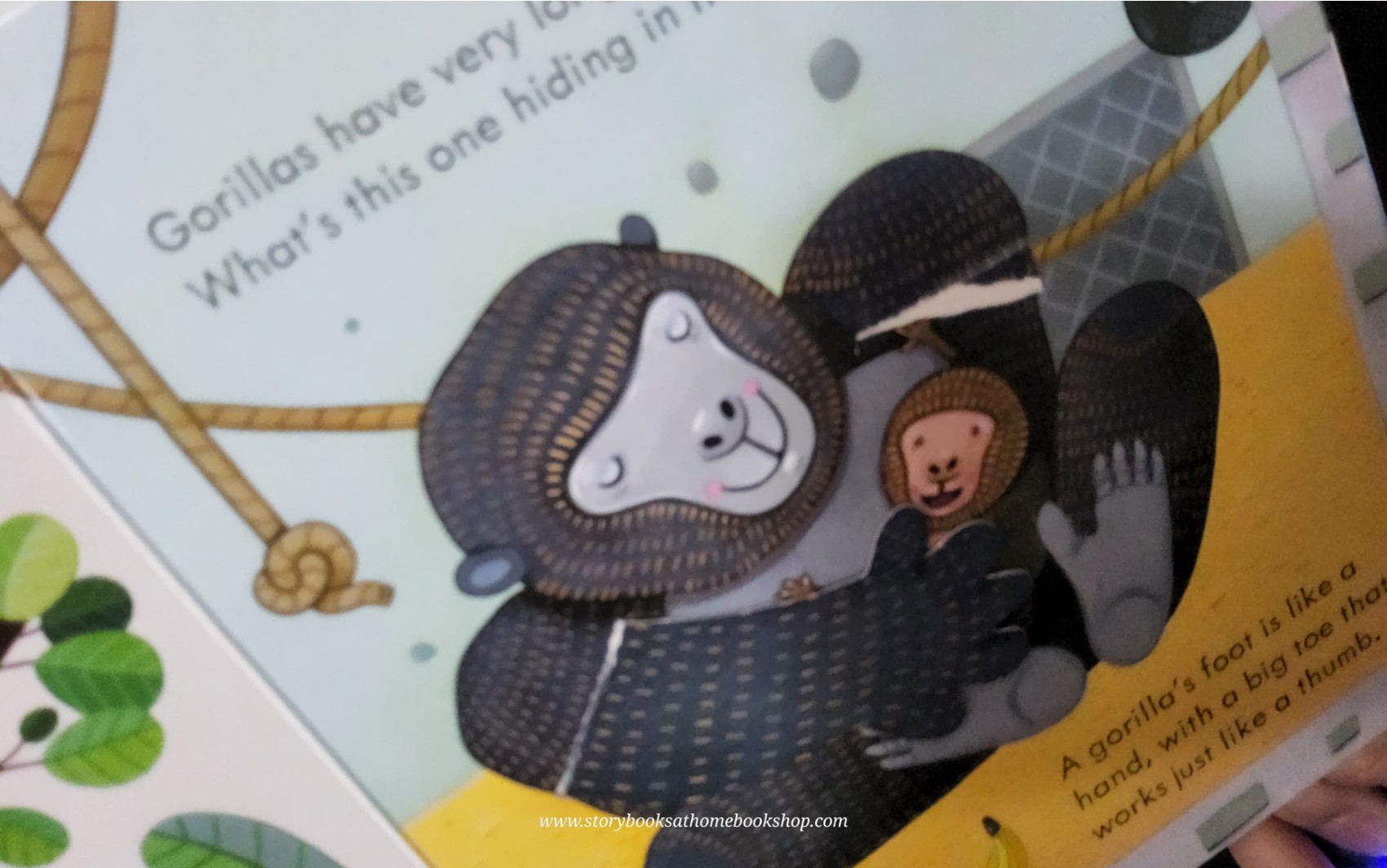 PEEP BOARD BOOK** ♥️USBORNE PEEP INSIDE THE ZOO