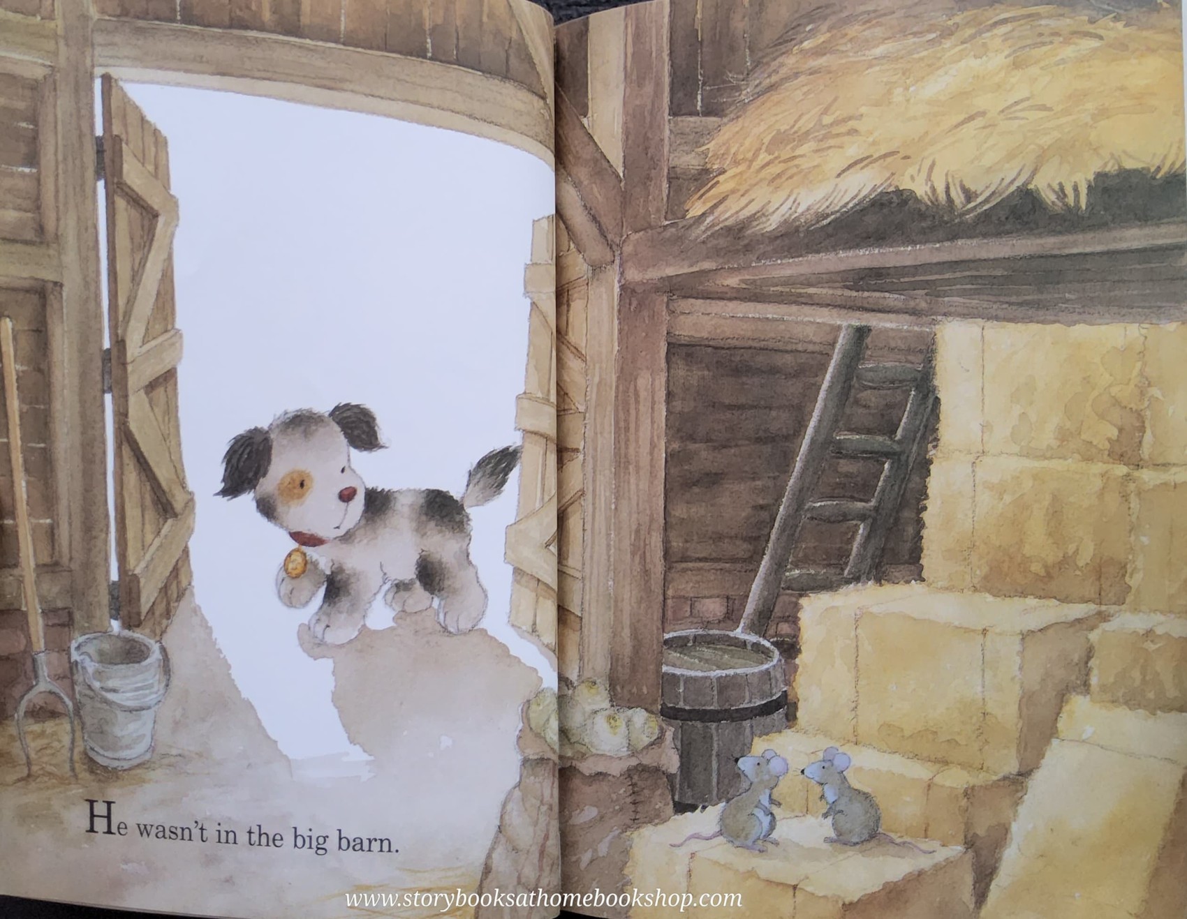 หนังสือนิทานปกอ่อน ** 🍅🍓 FERGUS'S BIG SPLASH