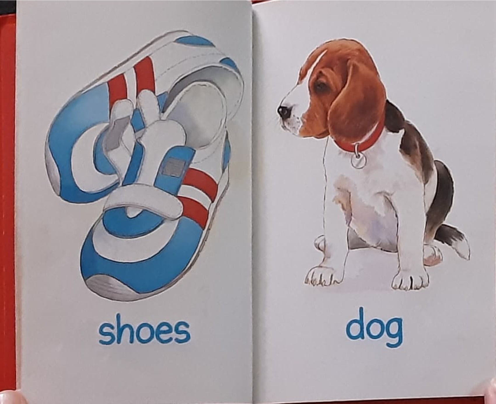 หนังสือนิทานปกแข็ง** 🍓🍓 Baby's Red Picture Book