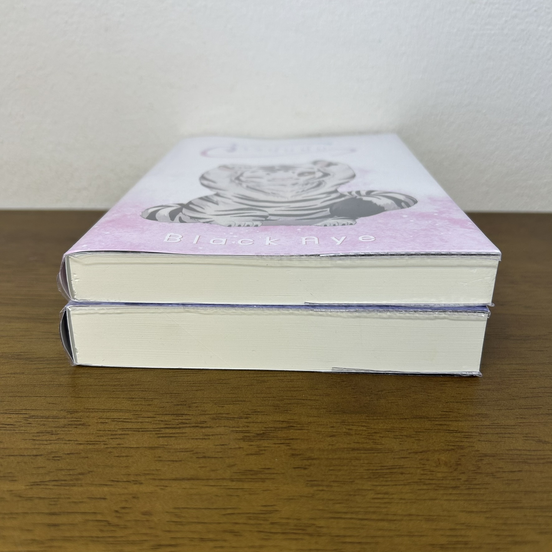 [YAOI] จ้าวป่า + จ้าวนุ่มนิ่ม 2 เล่ม ... Black Aye (มือสอง) นิยายวาย ทำมือ