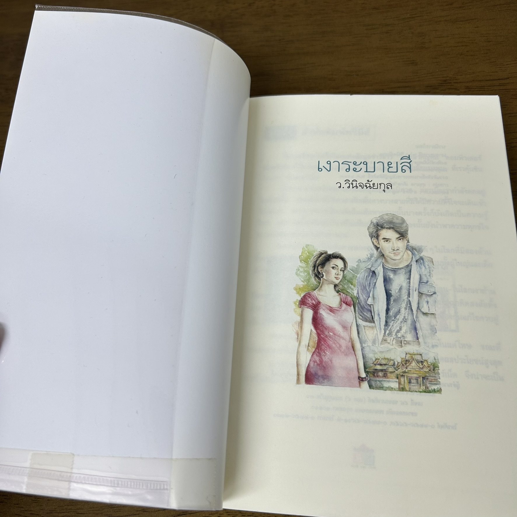 เงาระบายสี ... ว.วินิจฉัยกุล (มือสอง) สนพ.ทรีบีส์ นิยาย โรแมนติก