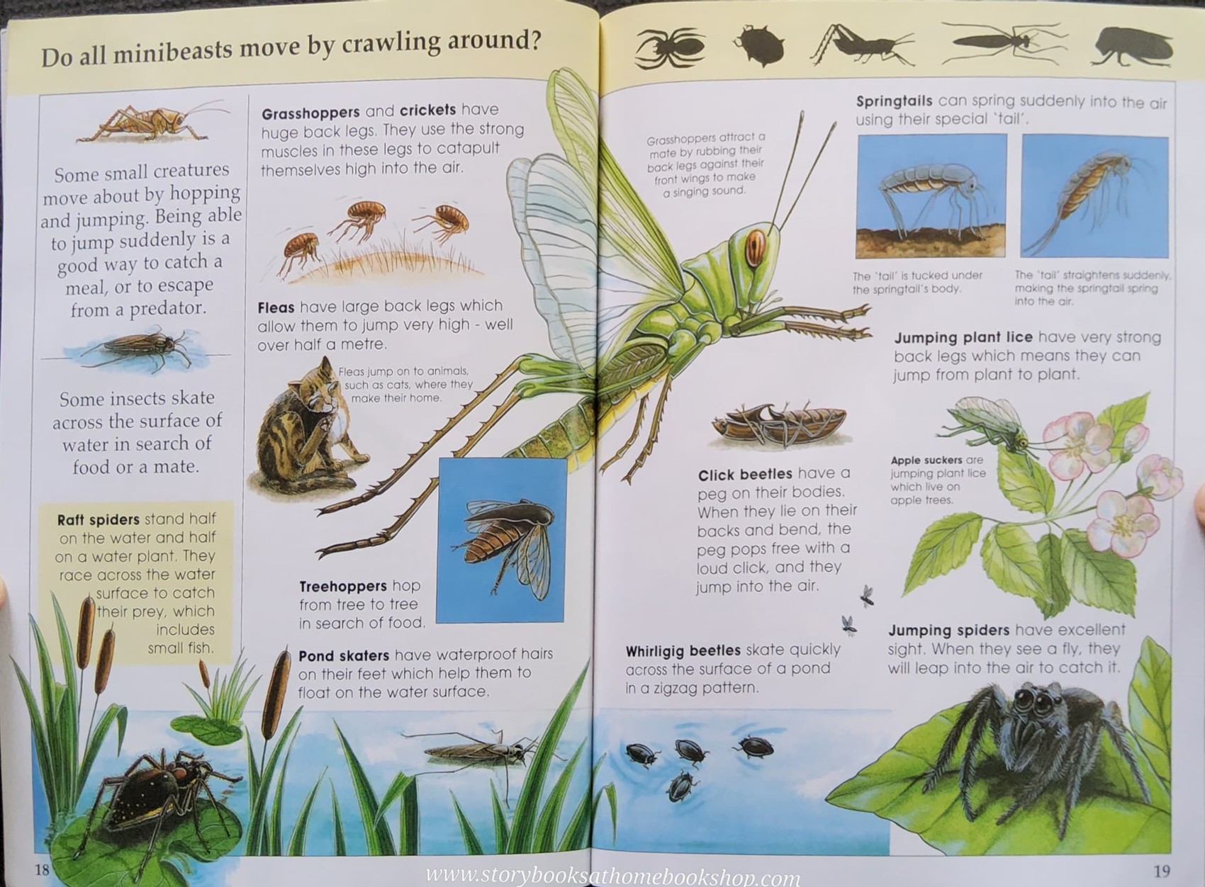 KNOWLEDGE BOOK** ♥️♥️KNOWLEDGE MASTERS MINIBEASTS♥️