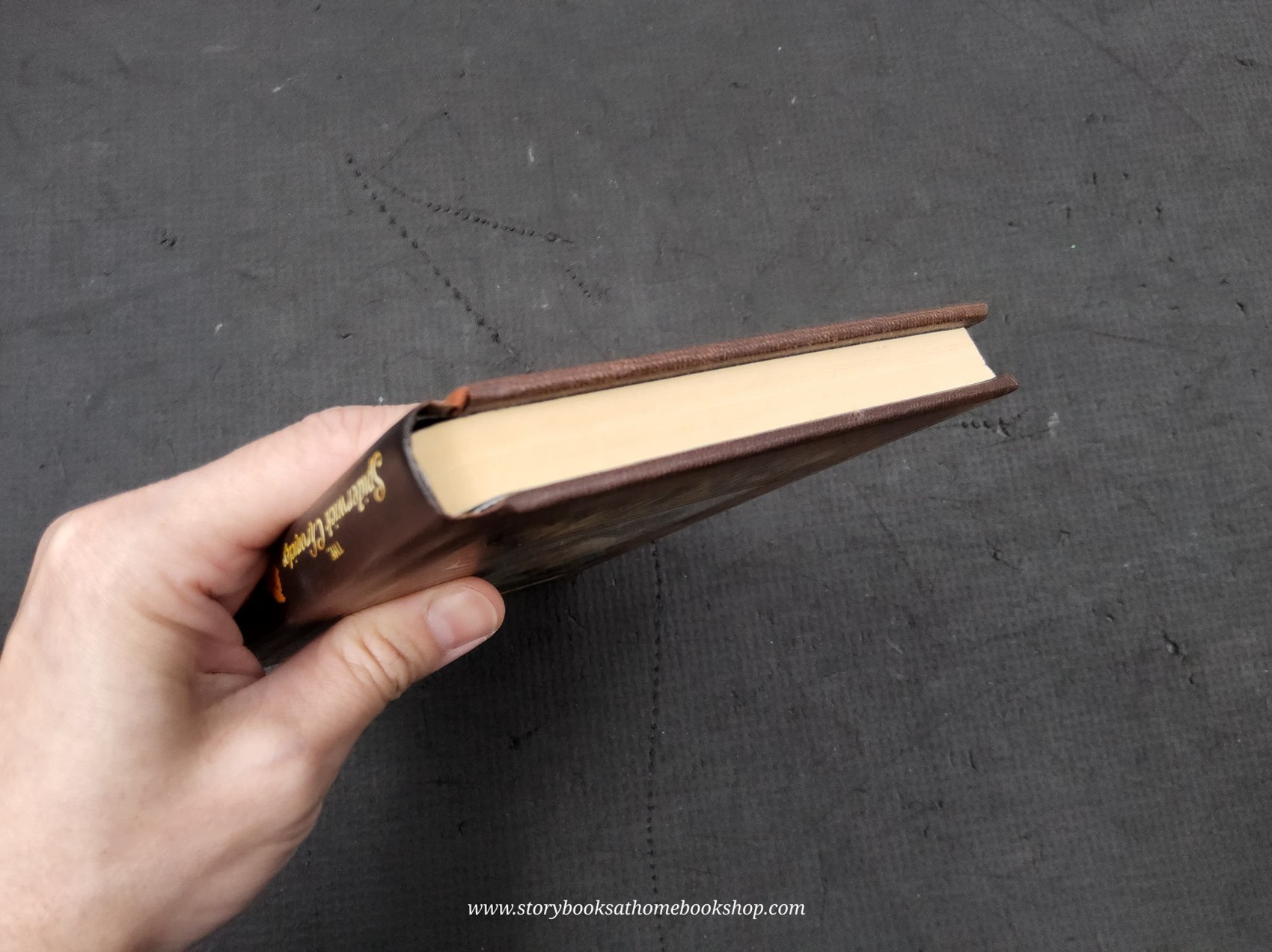 วรรณกรรมเยาวชน** 🍅🍓THE SPIDERWICK CHRONICLES BOOK3 LUCINDA'S SECRET