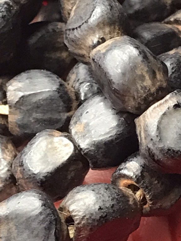 ประคำเม็ดกล้วยป่า พระเกศาพระธาตุข้าวบิณฑ์ หวายเสกเลี่ยมเดิม พระเกศาสายสิญจ์และจีวรหลวงปู่ครูบาชัยยะวงศา วัดพระพุทธบาทห้วยต้ม จ.ลำพูน ประคำ ได้มาจากชาวกะเหรี่ยงห้วยต้มชื่อจาเอ ส่วนชุดพระเกศาพระธาตุข้าวบิณฑ์ หวายเสก จีวรในขวดได้มาจากอดีตพระจอดี๊