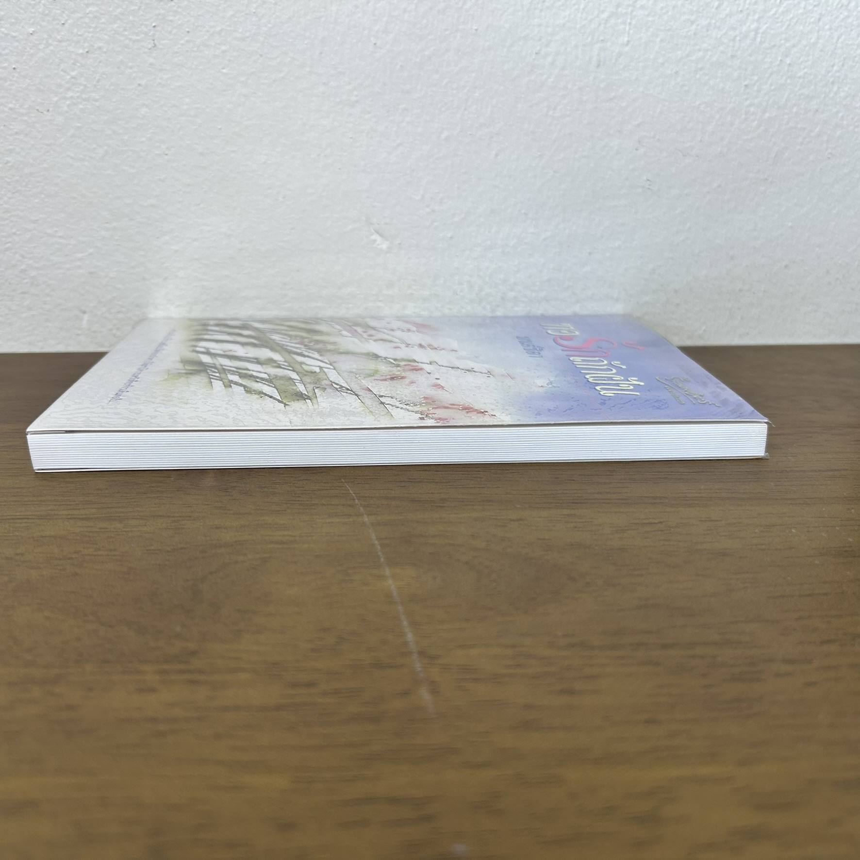 ทอรักถักฝัน ... มนต์ชิตา (มือสอง) นิยาย โรแมนติก เพื่อนดี