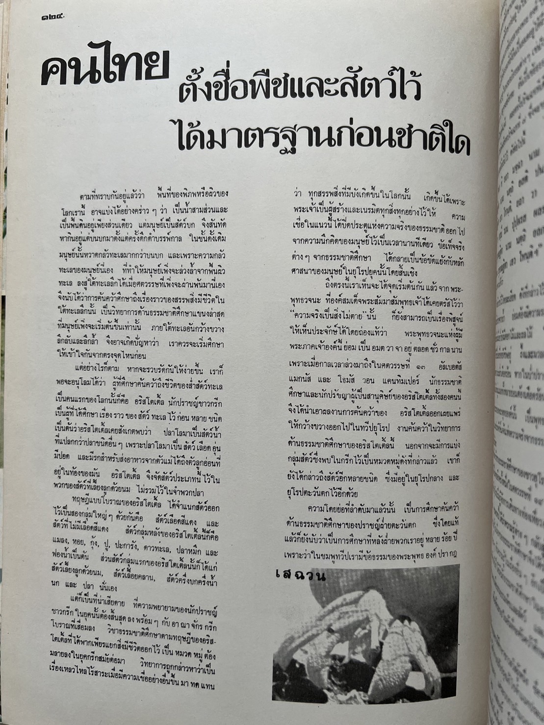 ธรรมชาติศึกษา : ฉบับแนะนำไม้ใบ-ไม้ประดับของไทยและเทศ (ชุดที่ 1 เล่มที่ 2 ลำดับที่ 2 ปี 2521).