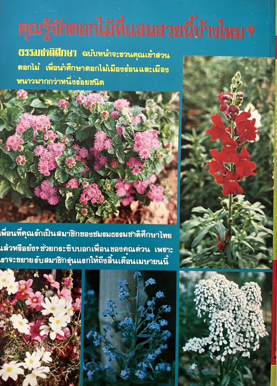 ธรรมชาติศึกษา : ฉบับแนะนำไม้ใบ-ไม้ประดับของไทยและเทศ (ชุดที่ 1 เล่มที่ 2 ลำดับที่ 2 ปี 2521).