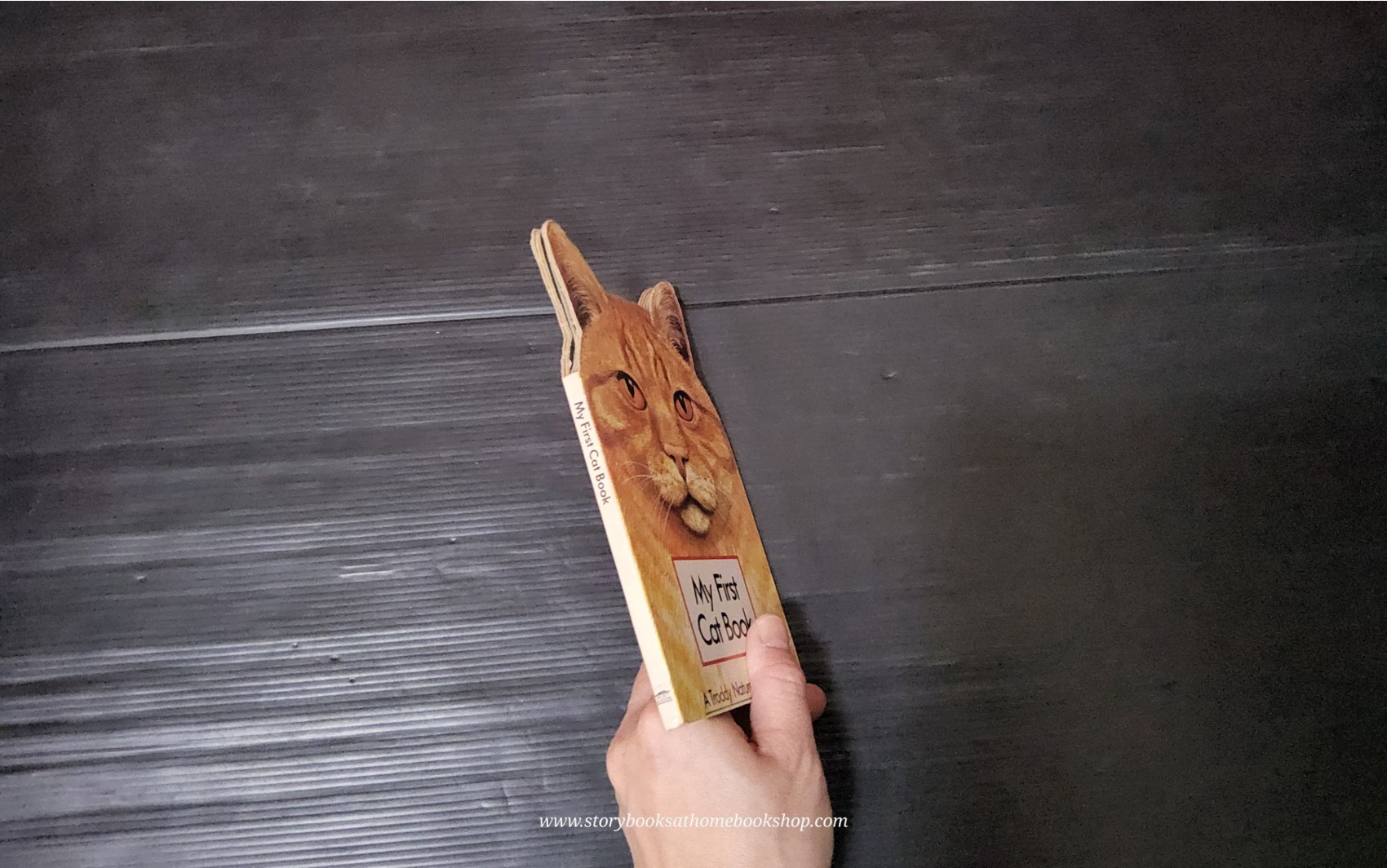 Board Book** 🍅🍓MY FIRST CAT BOOK