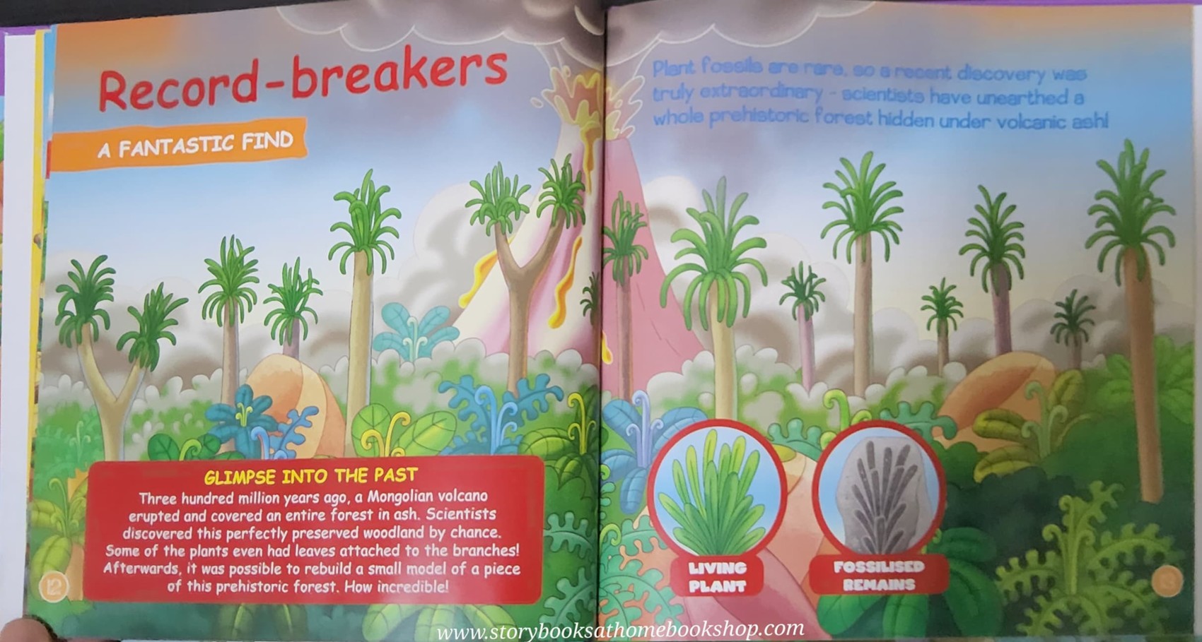 หนังสือนิทานปกแข็ง** 🍅🍓DINOSAURS&FRIENDS READ.LEARN.PLAY:PREHISTORIC PLANTS ALGAE,FERNS AND MOSSES #39