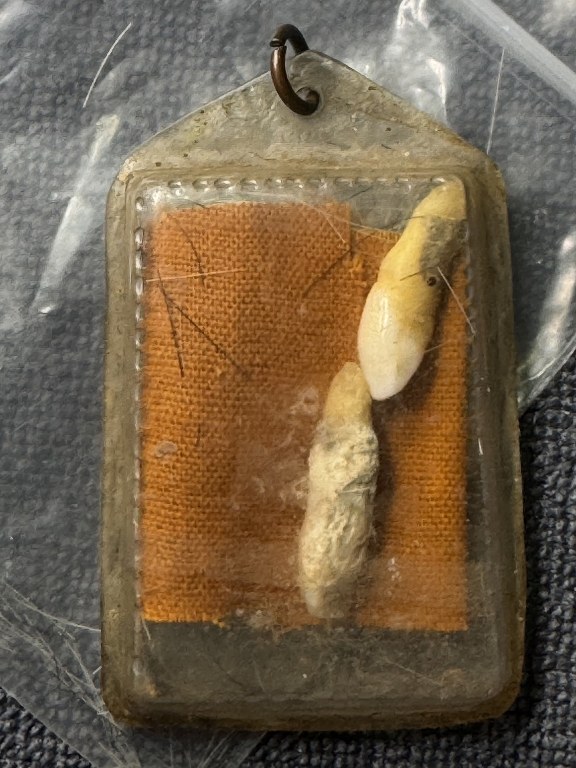 พระทันตธาตุหลวงปูู่่แสวง วัดศิลาวารี อ.เถิน จ.ลำปาง ได้มาจากคุณลุงประเสริฐ อายุ 82 ปี คุณลุงประเสริฐ ได้มาจากลุงสมหมาย อายุ 74 ปี อาชีพขับรถรับส่งคนจากอำเภอเถิน - เข้าเมืองลำปาง และได้รับพระทันตธาตุนี้มาเมื่อปี 2548