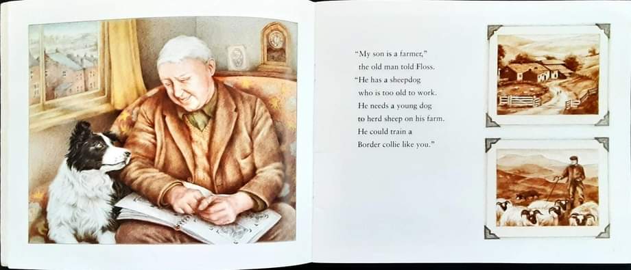 หนังสือนิทานปกอ่อน** 🍅🍅FLOSS BY KIM LEWIS