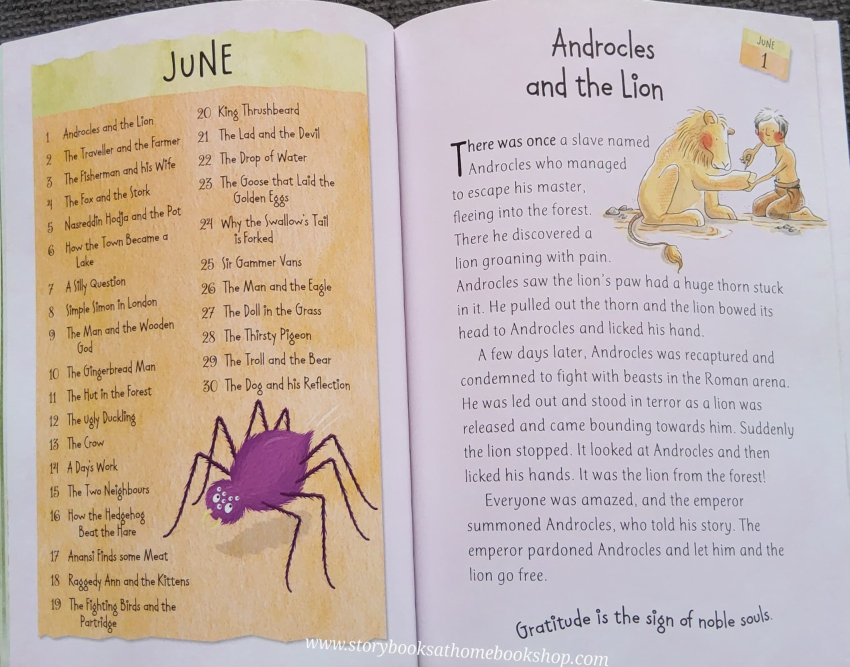 JUMBO BOOK** **หนังสือนิทานปกอ่อน ** 🍅🍓 A STORY A DAY