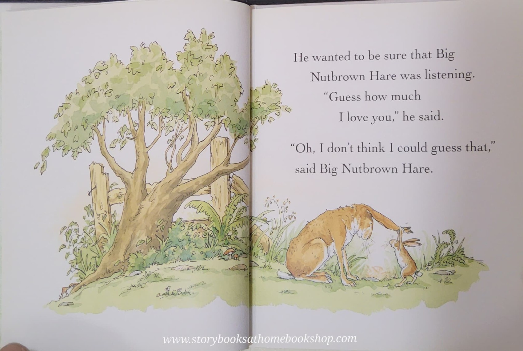 หนังสือนิทานปกแข็ง** 🍓🍓GUESS HOW MUCH I LOVE YOU (ปกขาว)