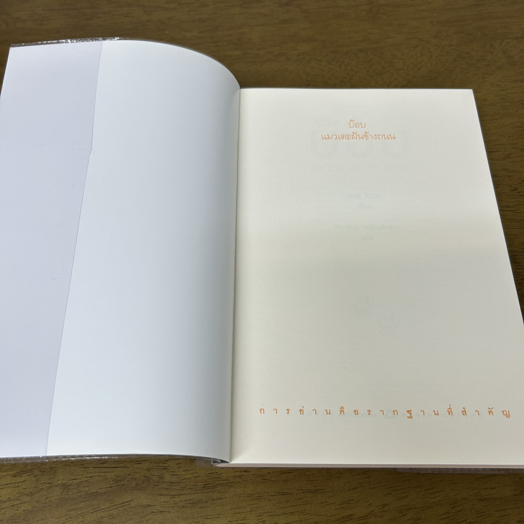 บ๊อบ แมวเตะฝันข้างถนน ... James Bowen เจมส์ โบเวน (มือสอง) พัฒนาตนเอง springbook