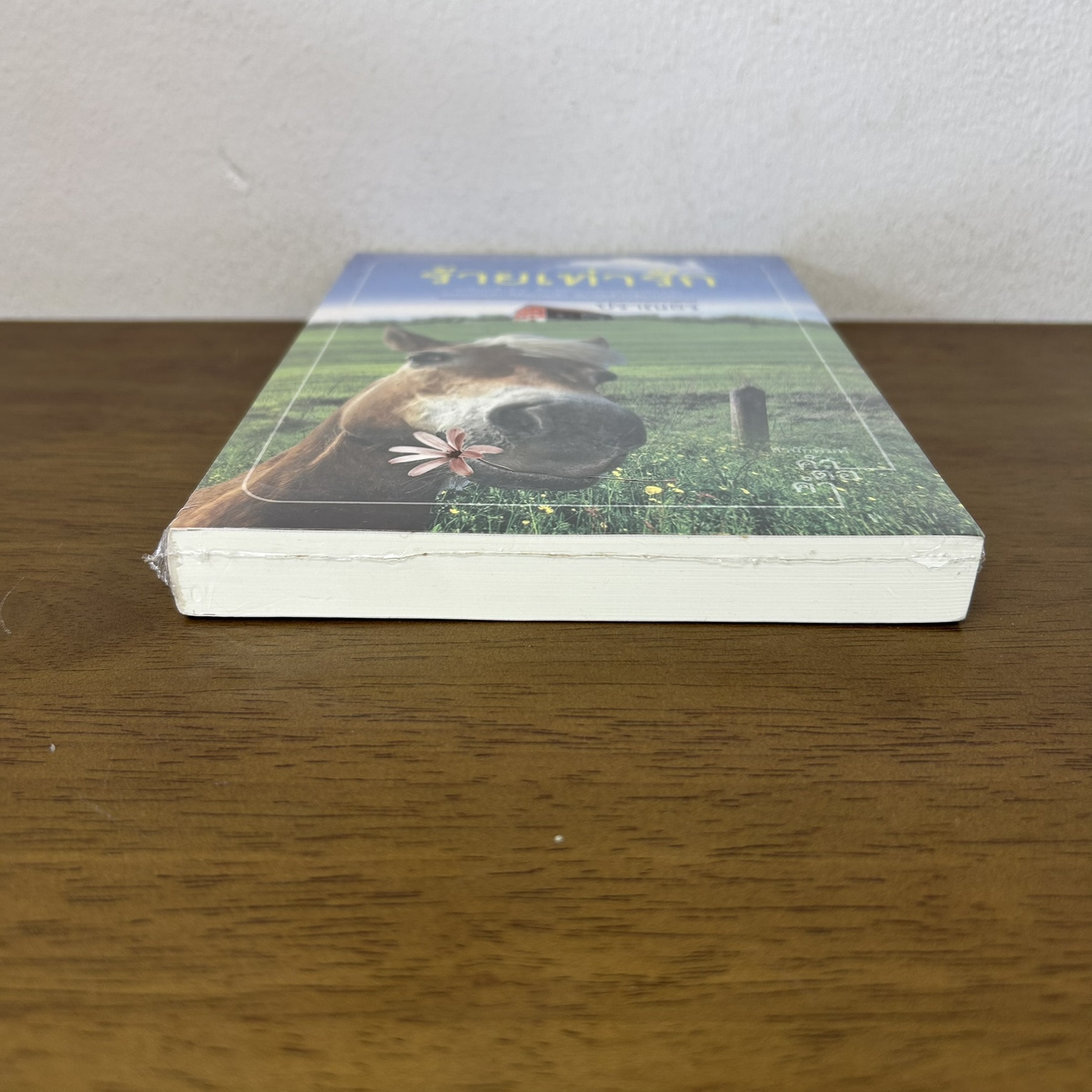 ร้ายเท่ารัก ... ปราณธร (มือสอง) นิยาย โรแมนติก ทำมือ