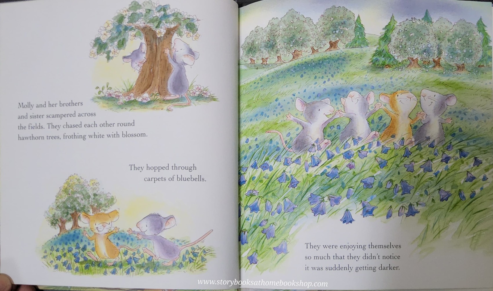 หนังสือนิทานปกแข็ง** 🍅🍓MOLLY AND THE STORM BY CHRISTINA LEESON AND GABY HANSEN