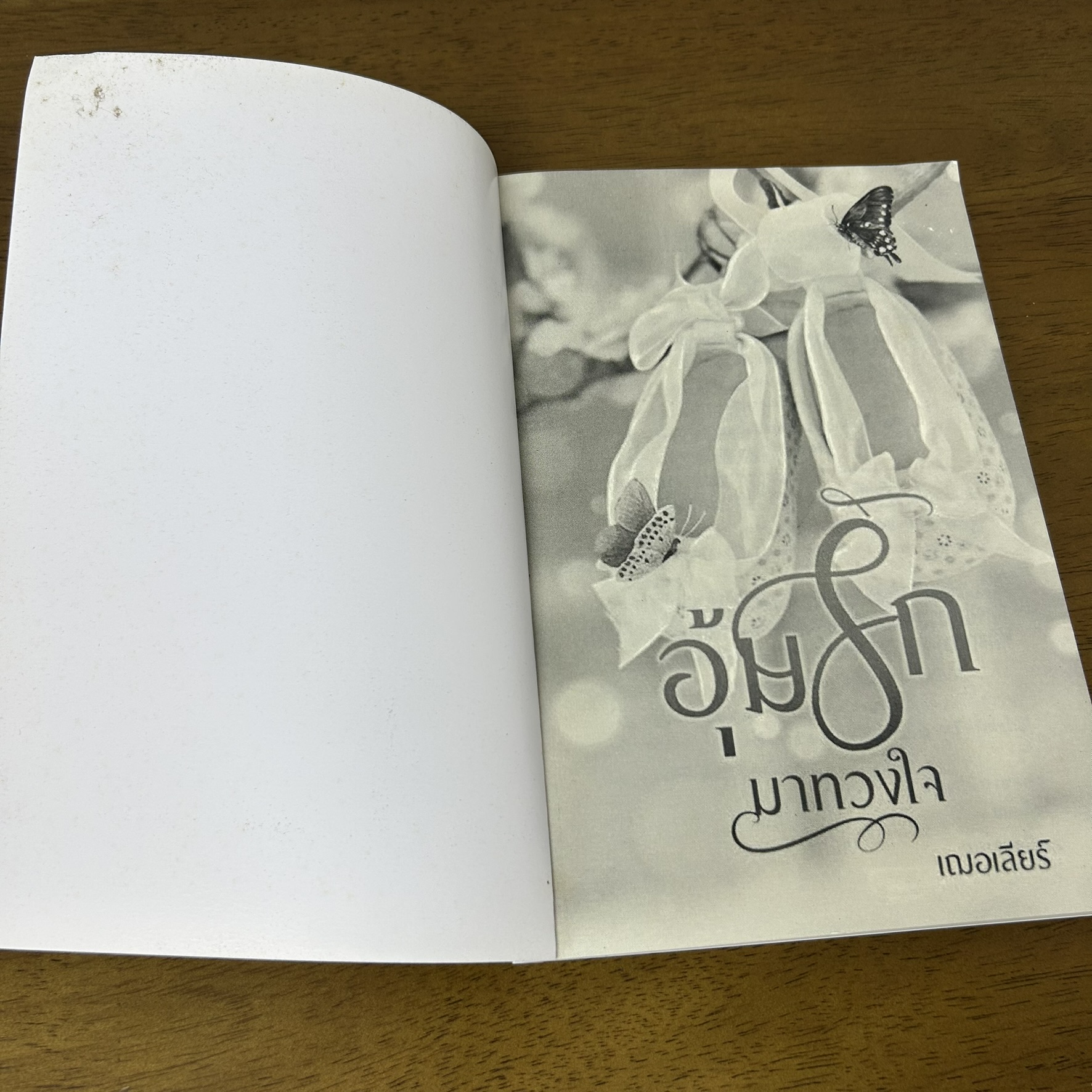 อุ้มรักมาทวงใจ ... เฌอเลียร์ (มือสอง) นิยาย โรมานซ์ ทำมือ