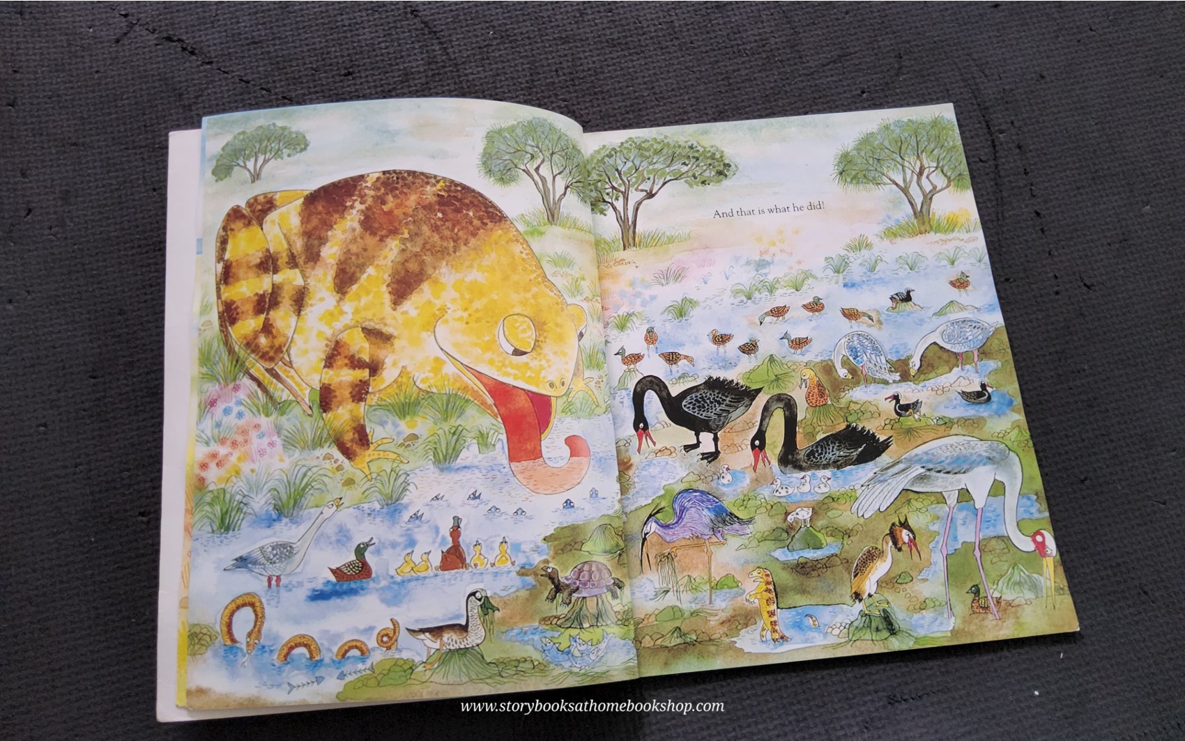 หนังสือนิทานปกอ่อน** 🍅🍓WHAT MADE TIDDALIK LAUGH BY JOANNA TROUGHTON