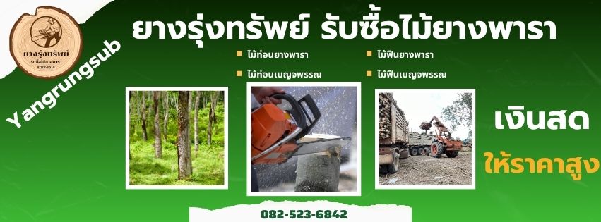 รับซื้อไม้ยางพารา