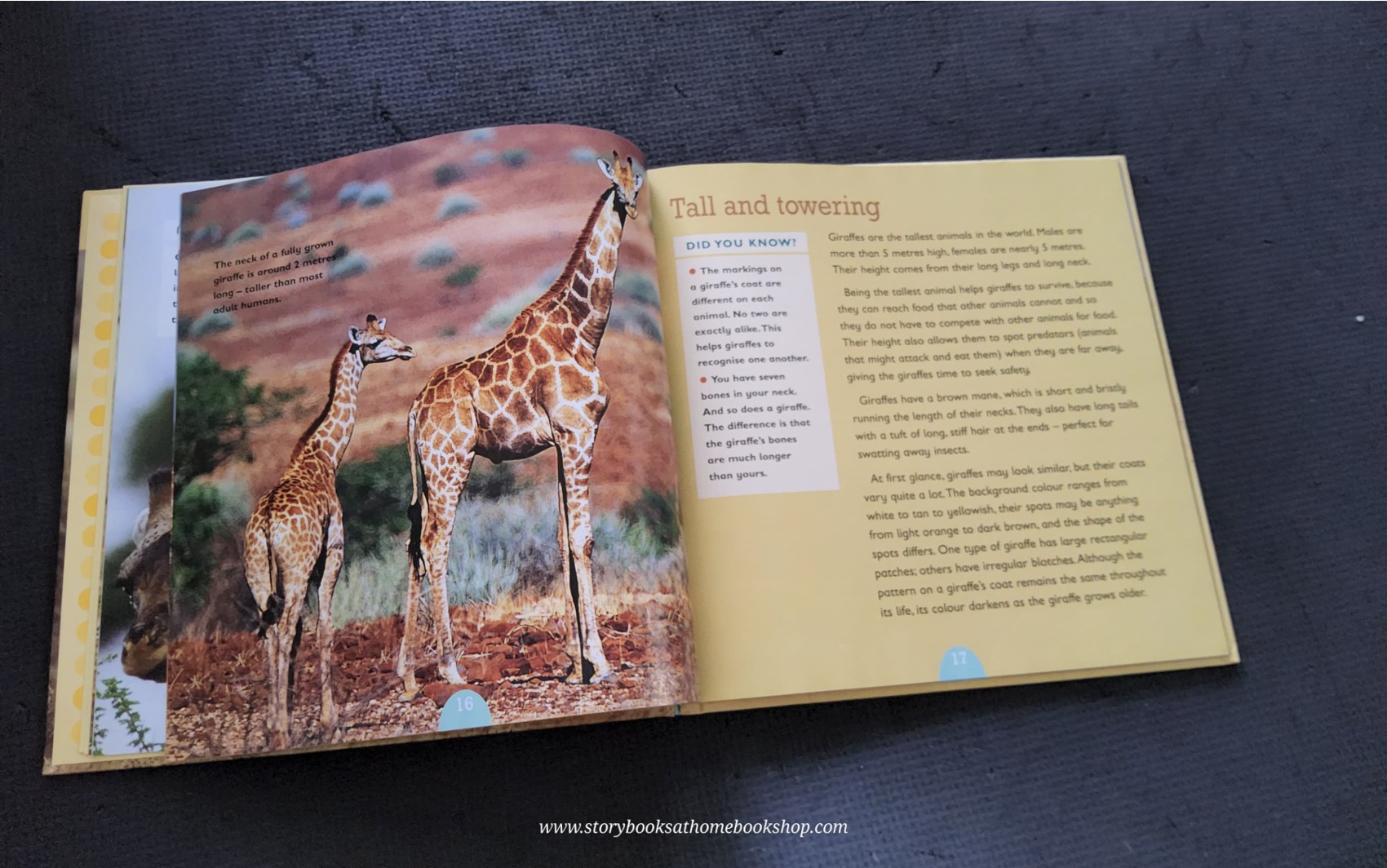 KNOWLEDGE BOOK** ♥️♥️ALL ABOUT ANIMAL:GIRAFFE
