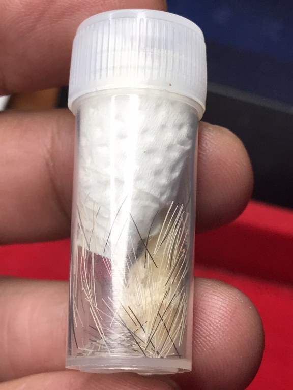 พระทันตธาตุครูบากองแก้ว วัดต้นยางหลวง จ.เชียงใหม่ ได้มาจากกำนันคำ อดีตกำนันบ้านปากกอง อ.สารภี จ.เชียงใหม่ ปัจจุบันอายุ 86 ปี (บันทึก พ.ศ.2566) กำนันคำจะมีคนคอยหาวัตถุมงคลให้ ชื่อว่าลุงสมควรปัจจุบันเสียชีวิตแล้ว ถ้ามีชีวิตอยู่น่าจะมีอายุประมาณ 70 ปี