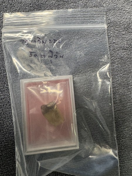 พระทันตธาตุครูบาชิมะระ วัดเวฬุวันองค์นี้ ลุงอำนาจ อายุ 72 ปี ซึ่งมีอาชีพขายข้าวใน อ.ฝาง และ อ.เชียงดาว ได้รู้จักกับพ่อหนานพร อายุ 78 ปี อาชีพเป็นหมอยาแผนโบราณใน อ.เชียงดาว เป็นศิษย์ครูบาวิมะละ ลุงอำนาจได้รับพระทันตธาตุมาจากพ่อหนานพร ในปี 2564