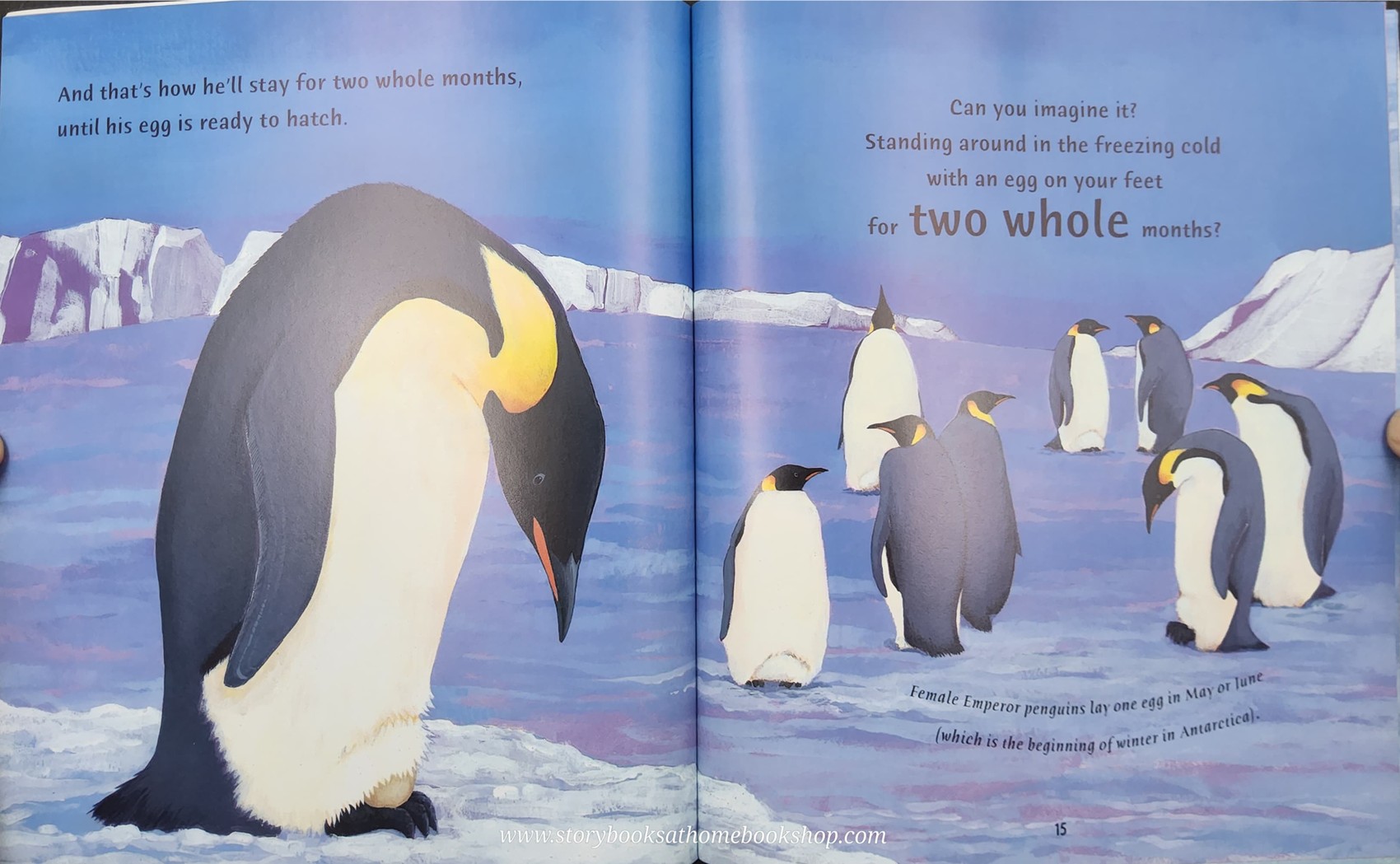 หนังสือนิทานปกอ่อน** ♥️THE EMPEROR'S EGG BY MATTIN JENKINS