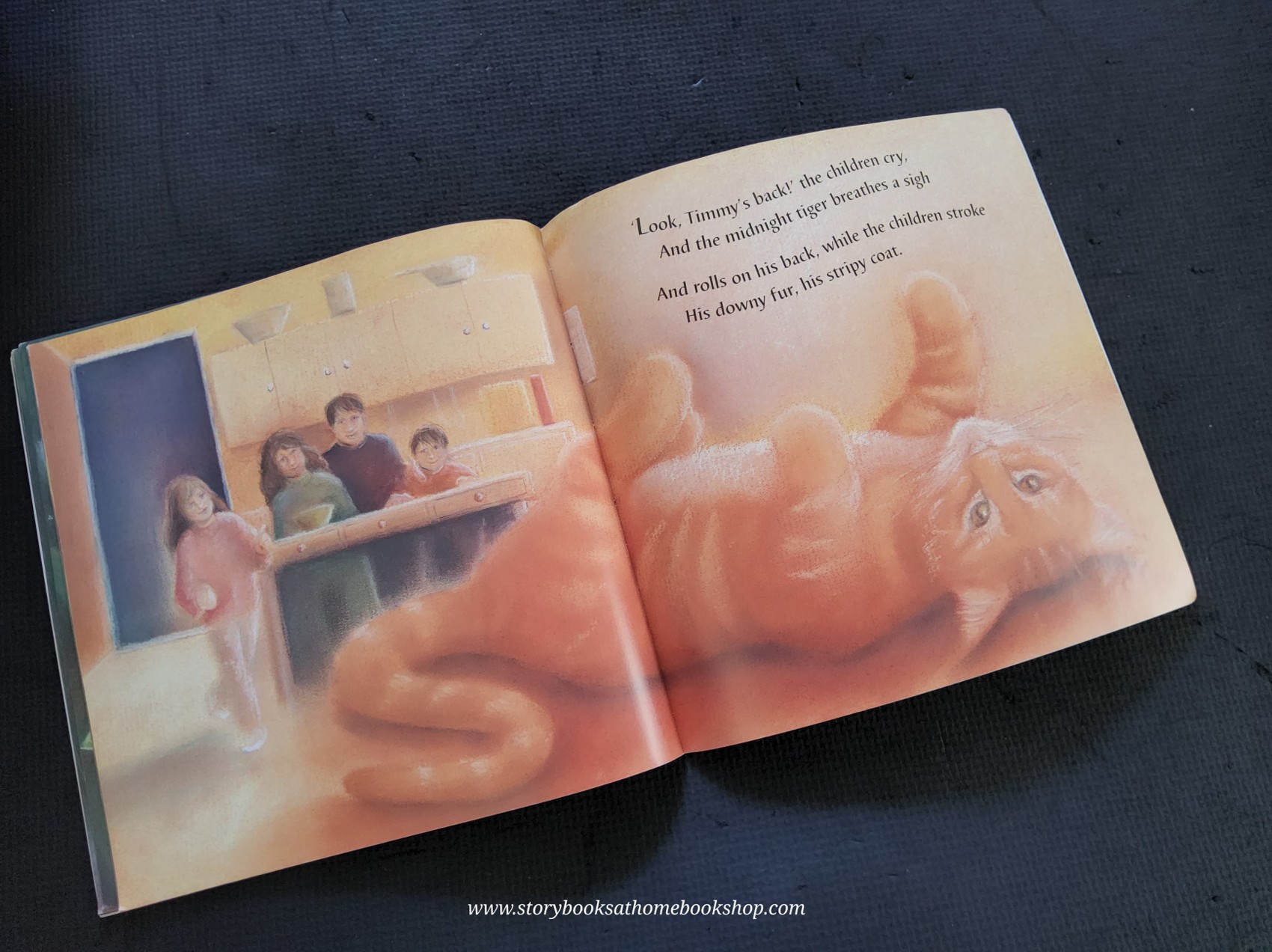 หนังสือนิทานปกอ่อน** 🍅🍓MIDNIGHT TIGER