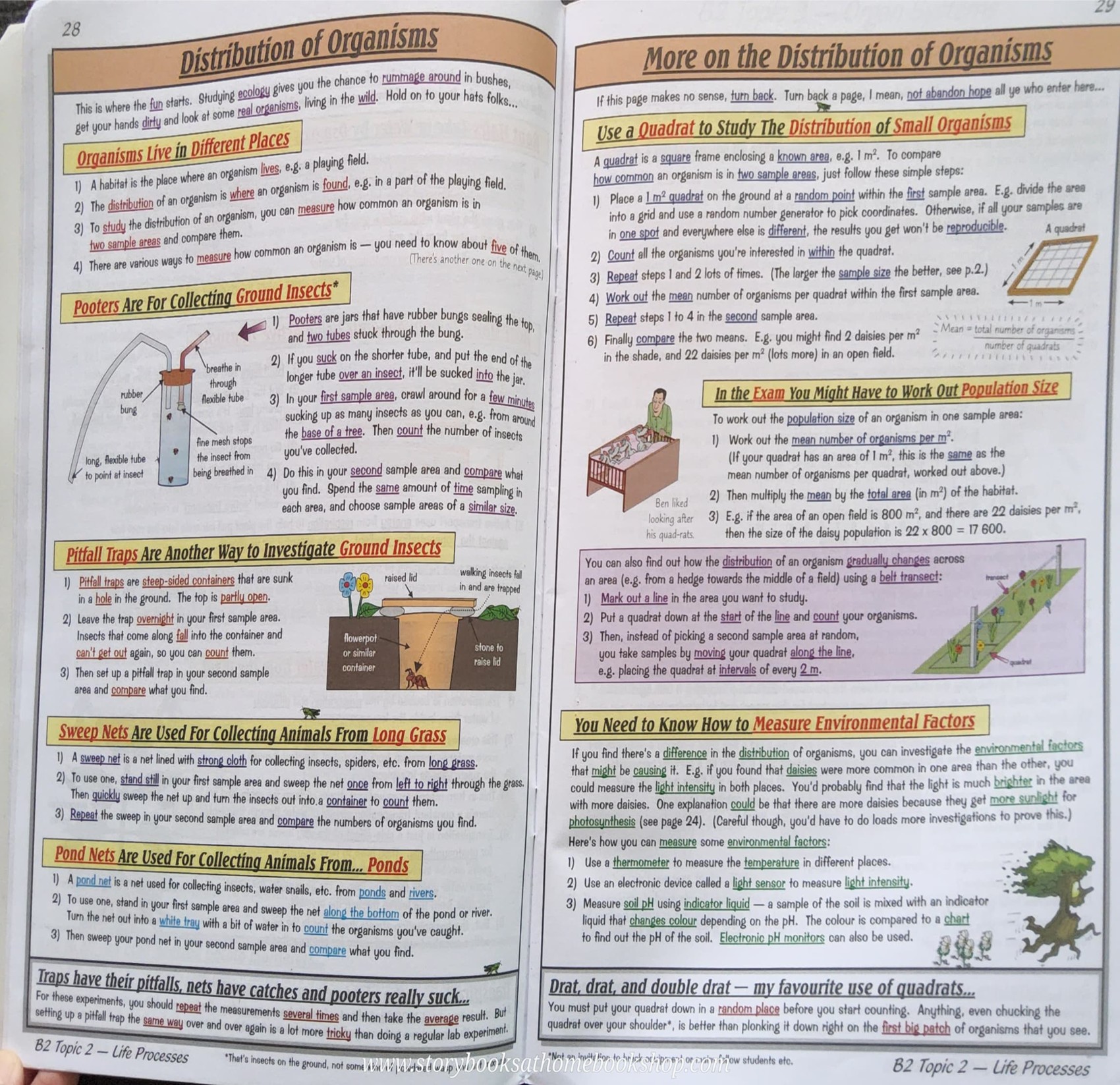 TEXTBOOK** 🍓🍓 CGP: GCSE ADDITIONAL SCIENCE THE REVISION GUIDE (FOR THE YEAR 11 exans)
