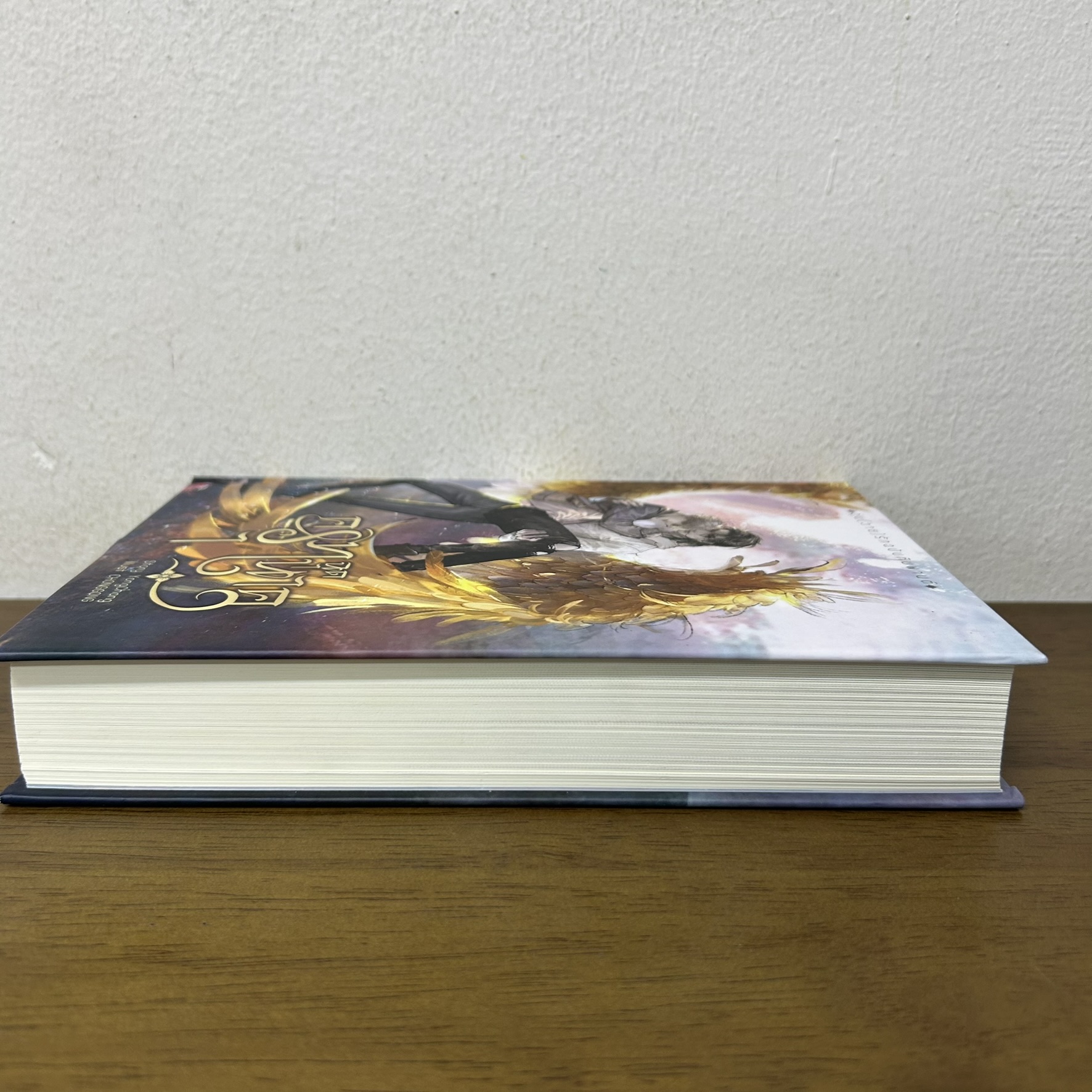 ครุฑฉุดนาค ปกแข็ง ... หย่งช่าง (มือสอง) นิยายวาย