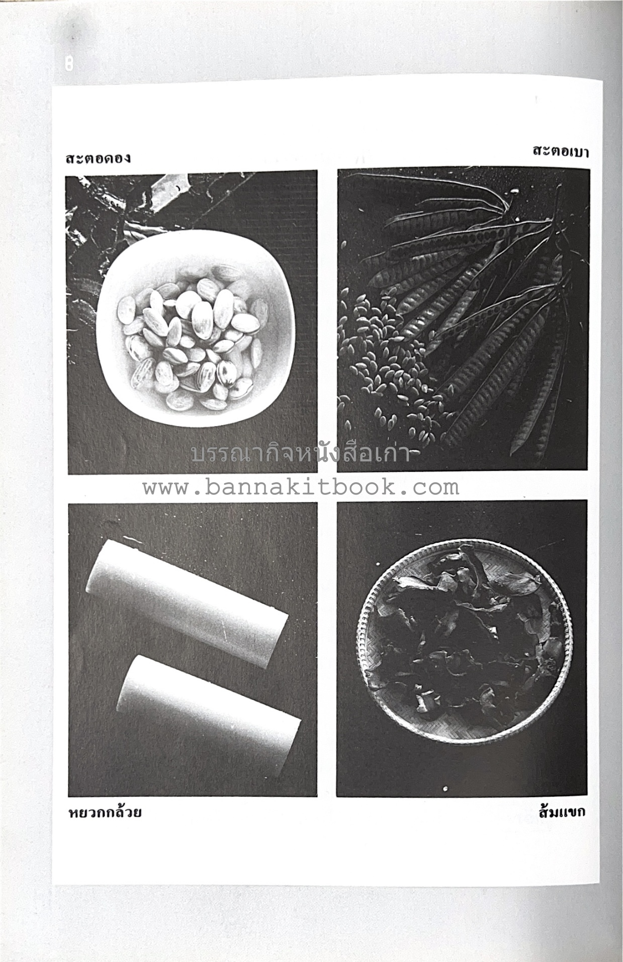อาหารปักษ์ใต้ (เมนูแกง น้ำพริก ยำ ต้ม ทอด ผัด) โดย : อาจารย์ศรีสมร คงพันธุ์.