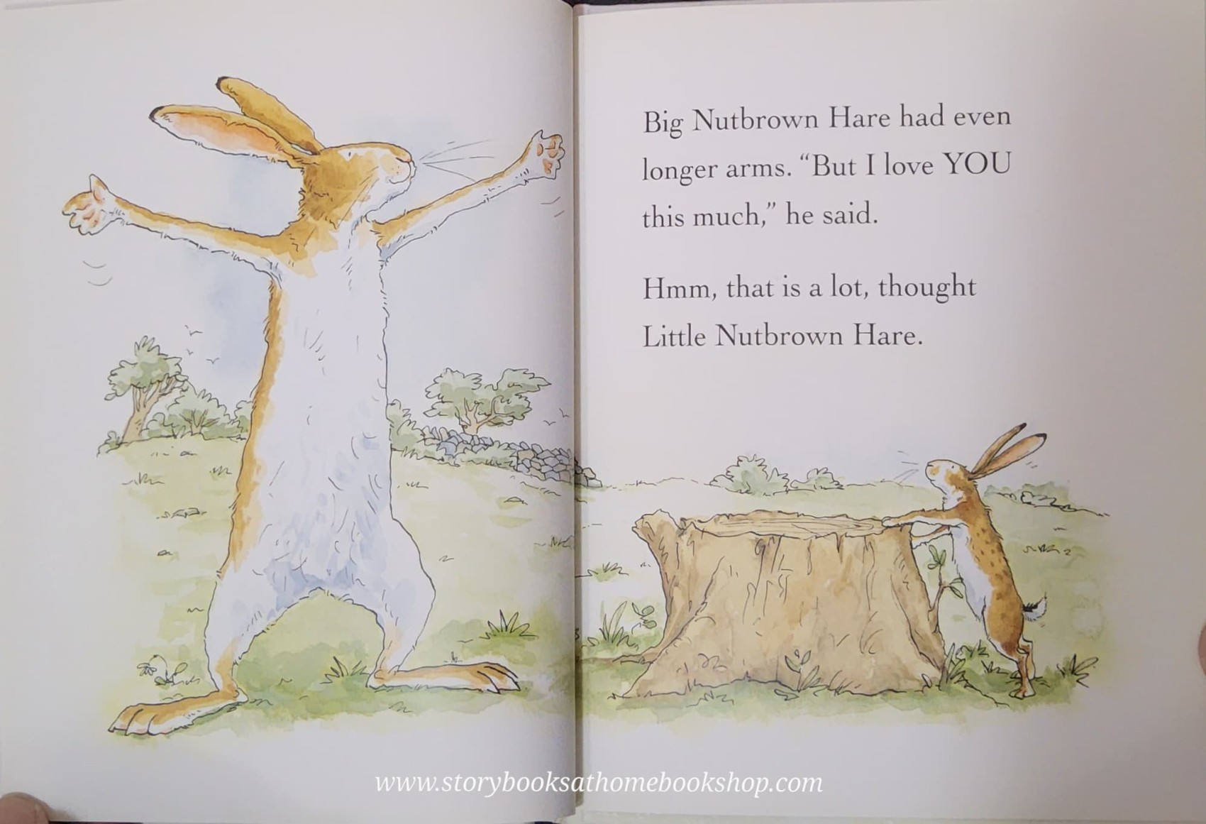 หนังสือนิทานปกแข็ง** 🍓🍓GUESS HOW MUCH I LOVE YOU (ปกขาว)