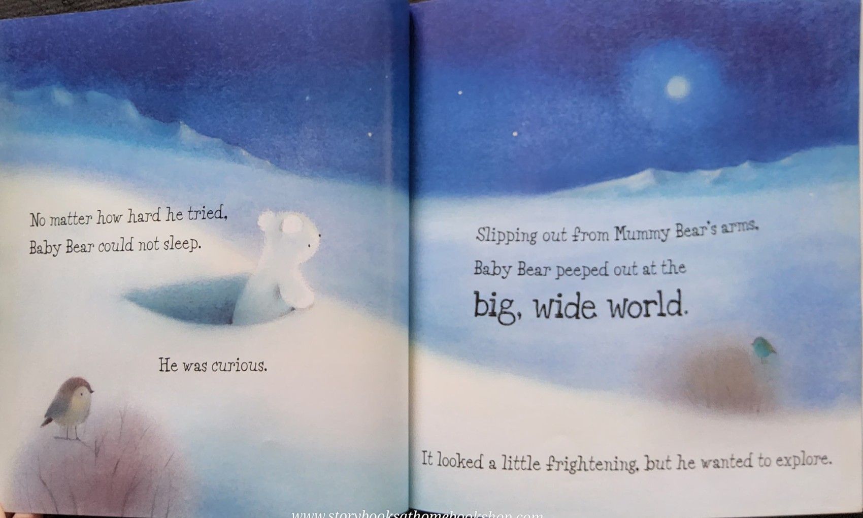 หนังสือนิทานปกอ่อน** 🍅BABY BEAR AND THE BIG,WIDE WORLD BY DUBRAVKA KOLANOVIC AND ELLIE PATTERSON